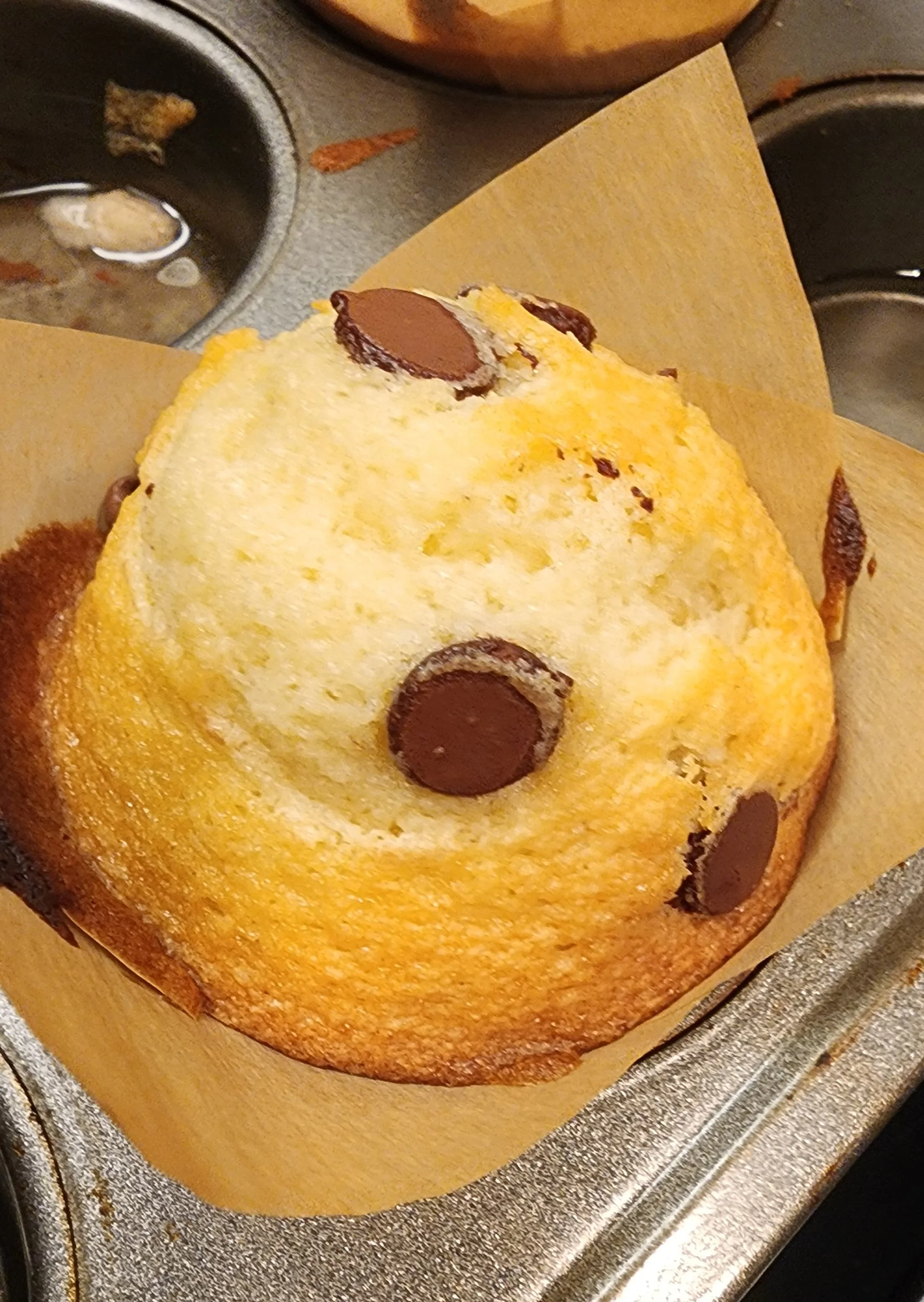 CHOCOLATE CHIP MUFFIN