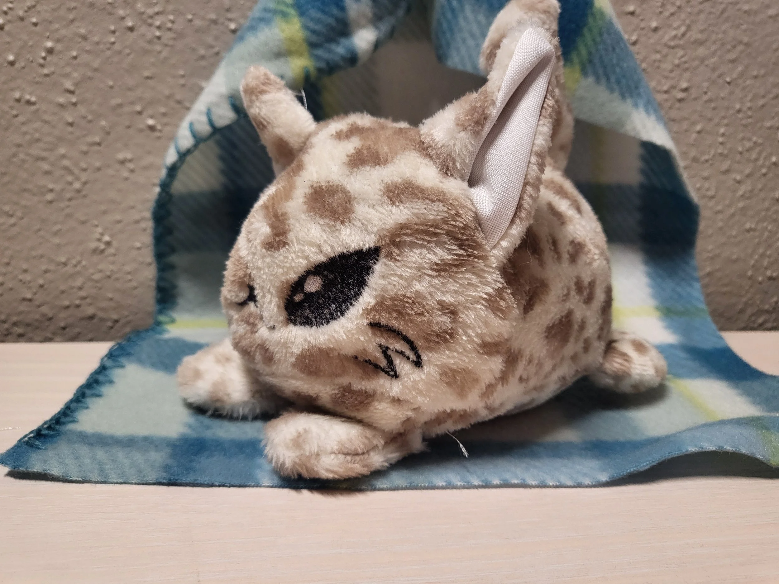Bobcat plush.jpg