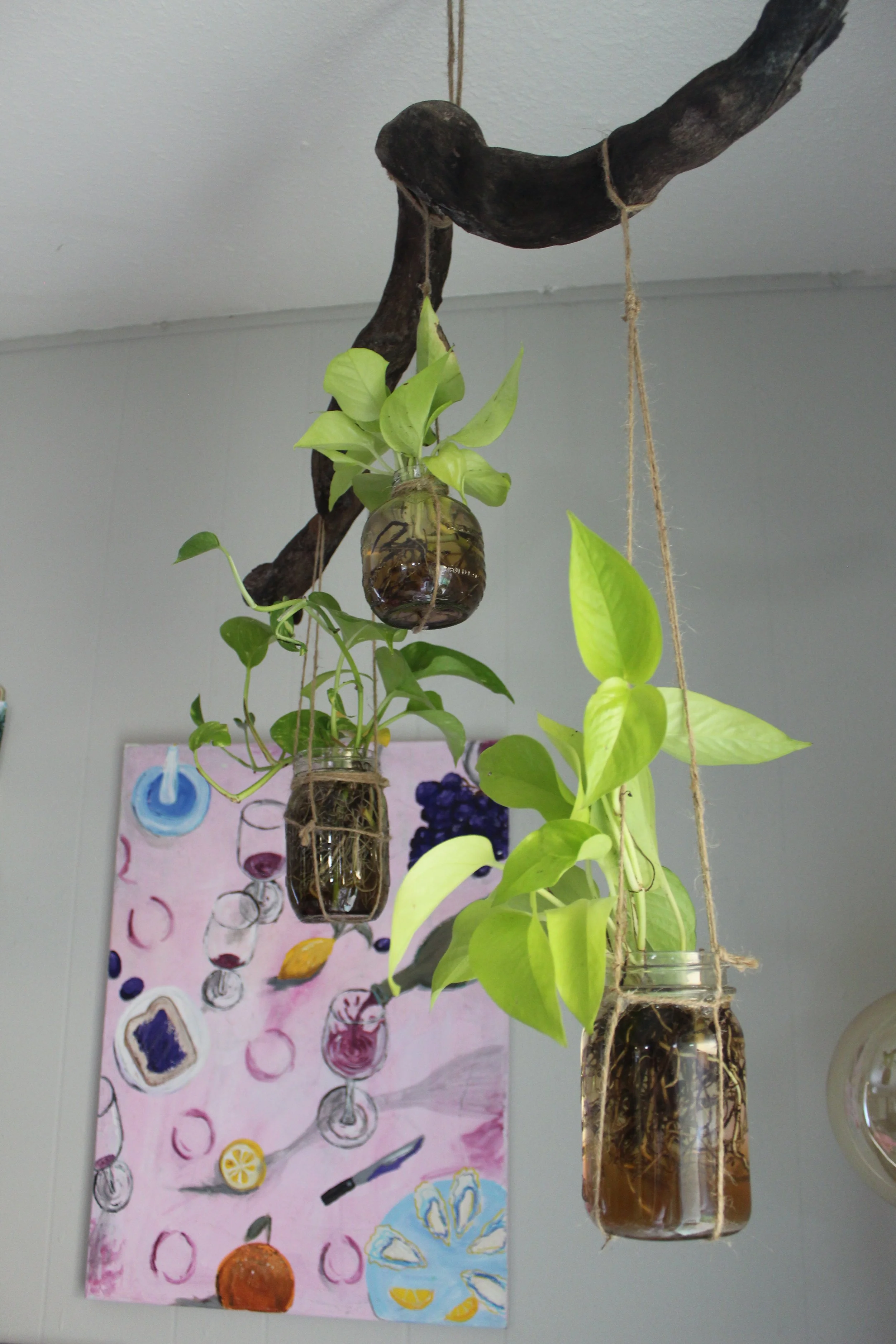 PLANT HANGER