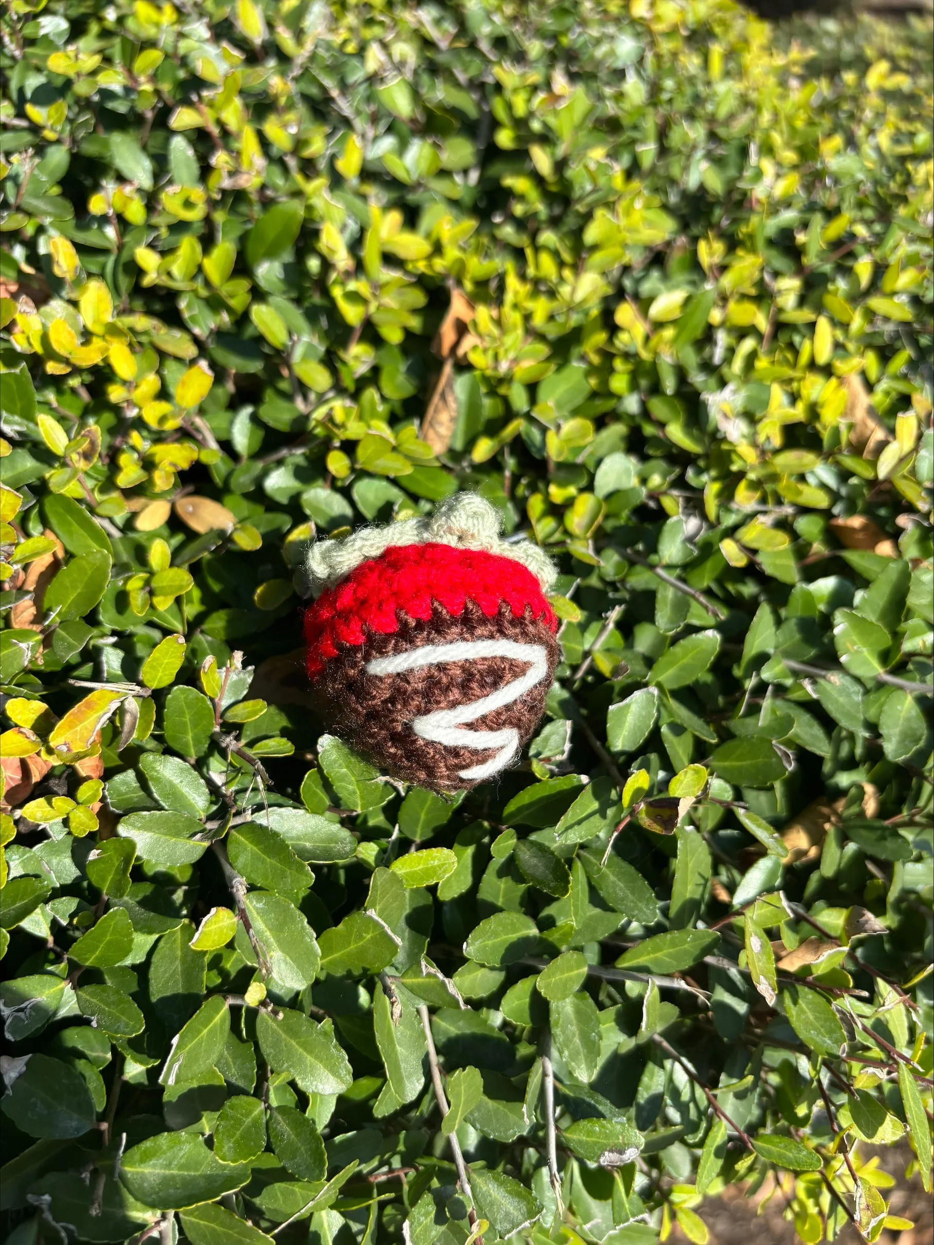 Chocolate covered strawberry.jpeg