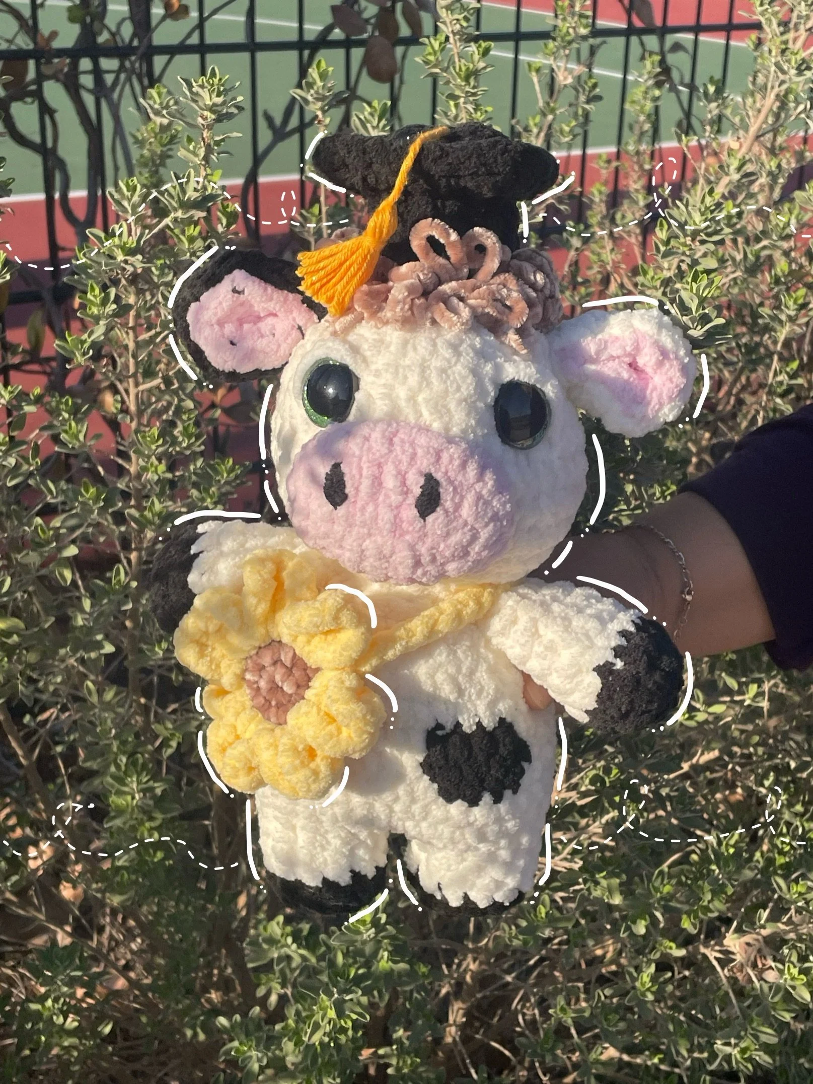 SPRING COW