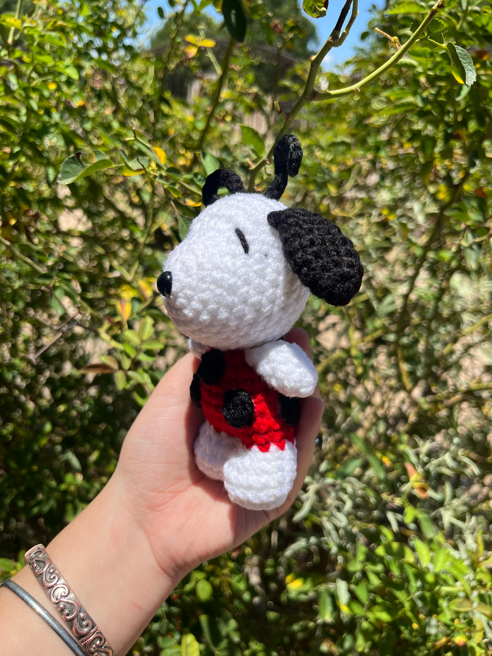 Ladybug+Snoopy+3.png