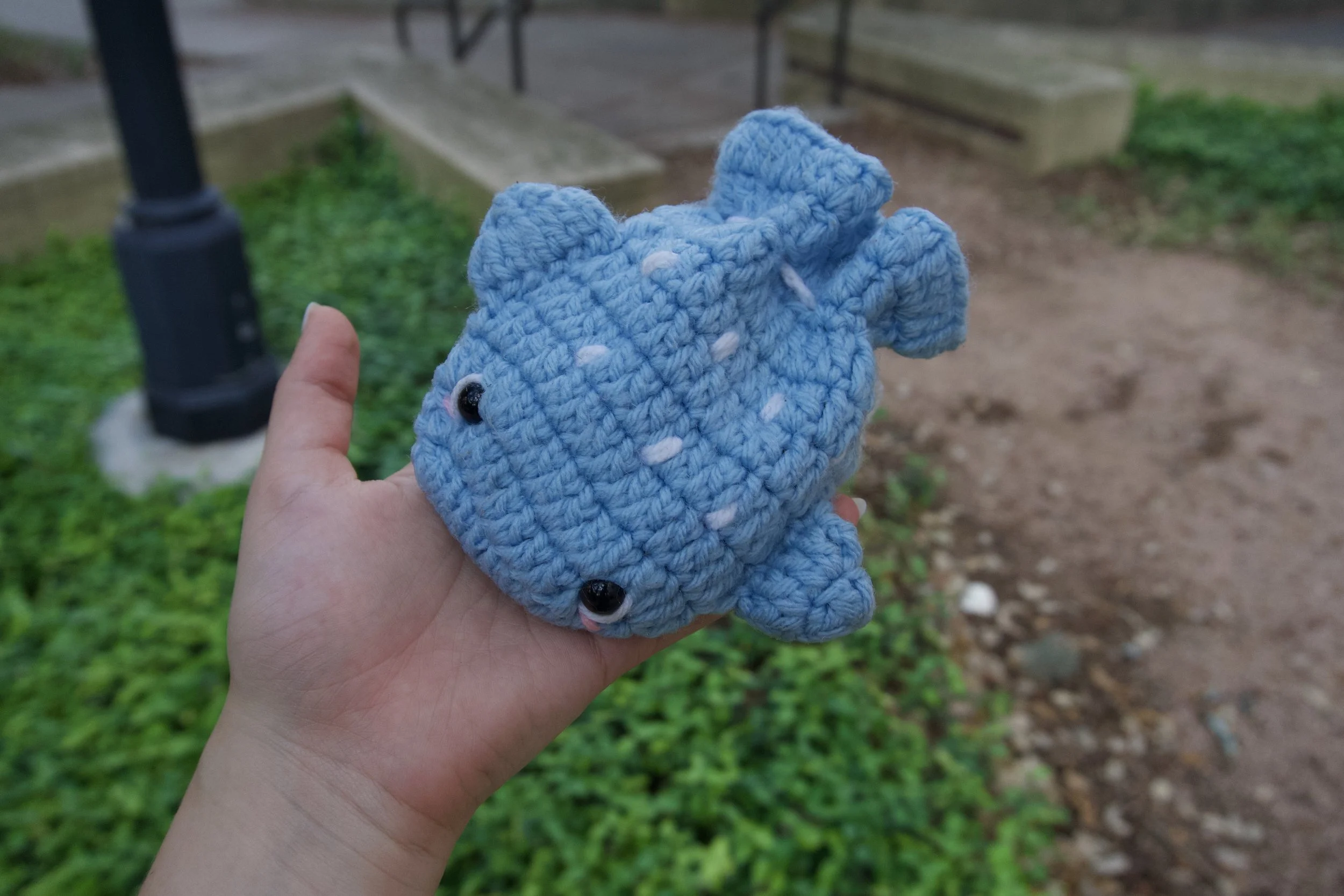 Whale pouch being held 1.jpeg