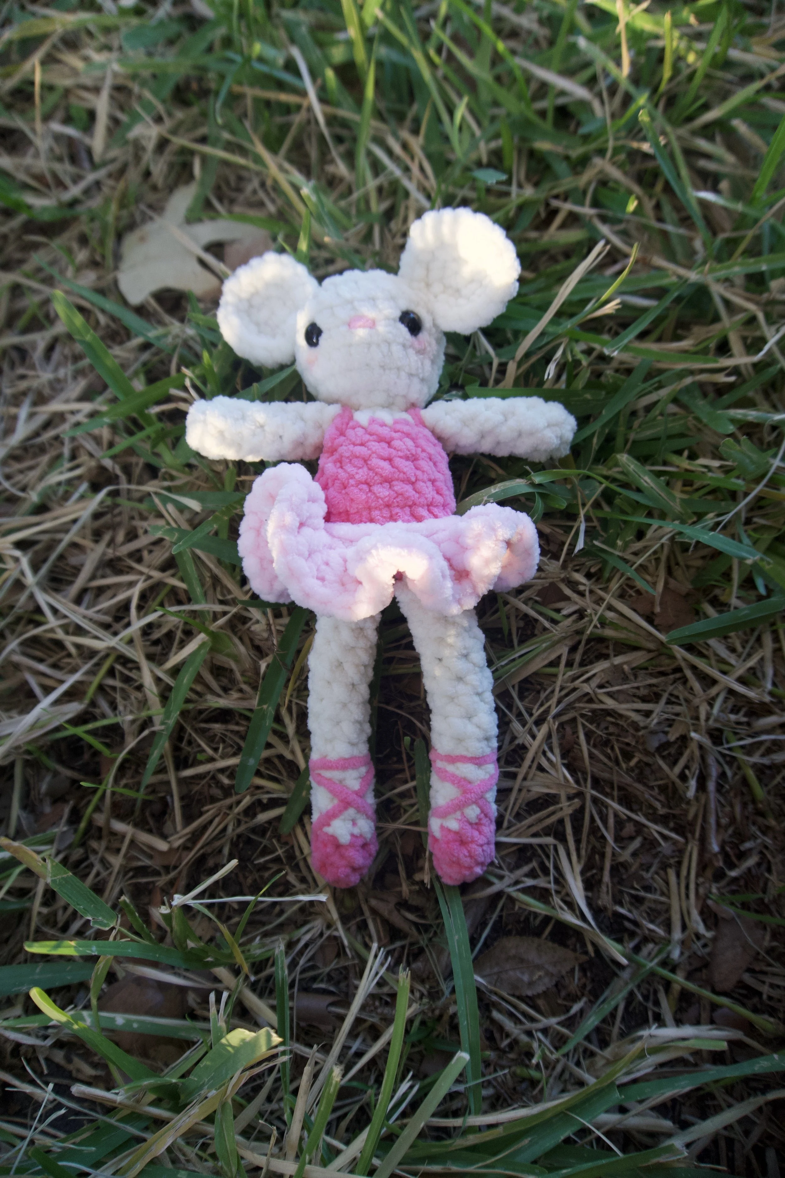 ballerina mouse on grass .jpeg