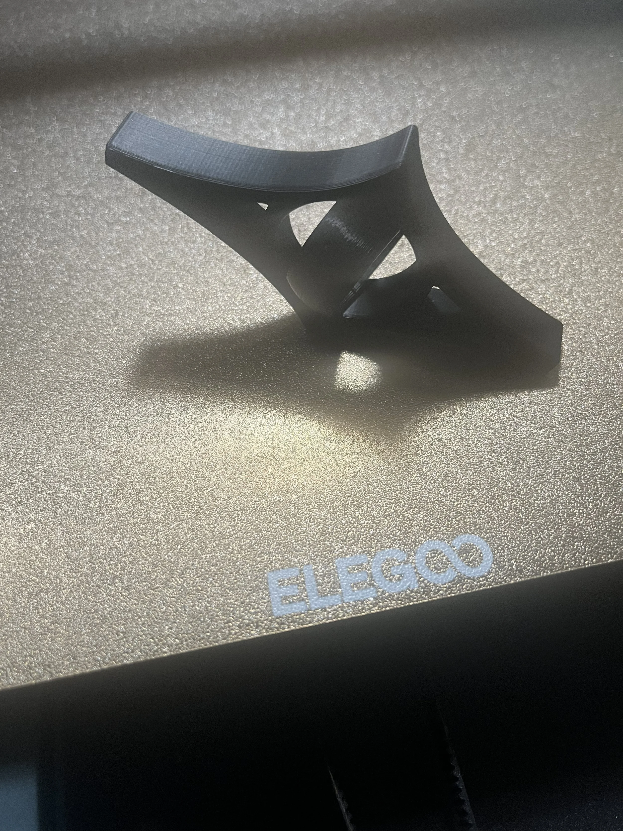 SUPPORT HOLDING BOOK