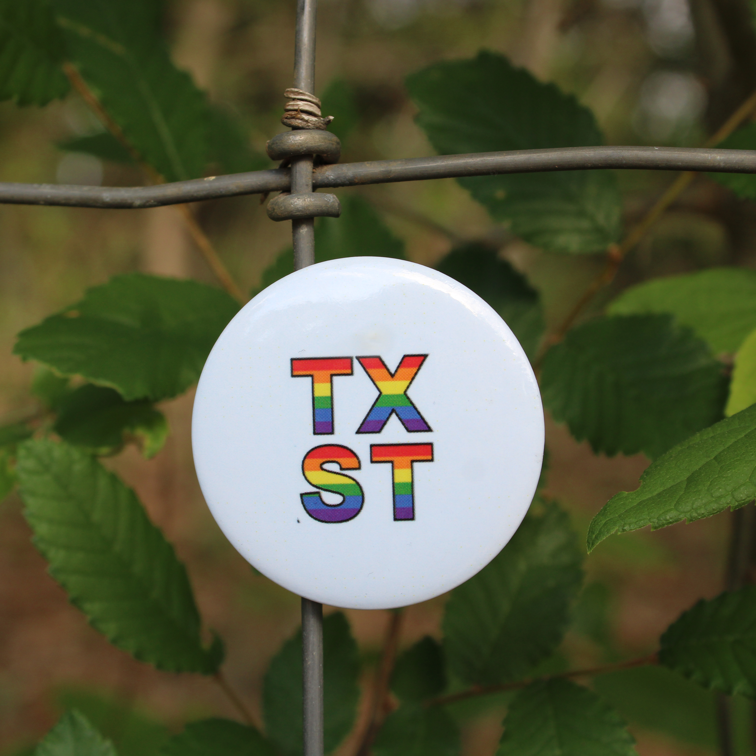 txstbutton.png
