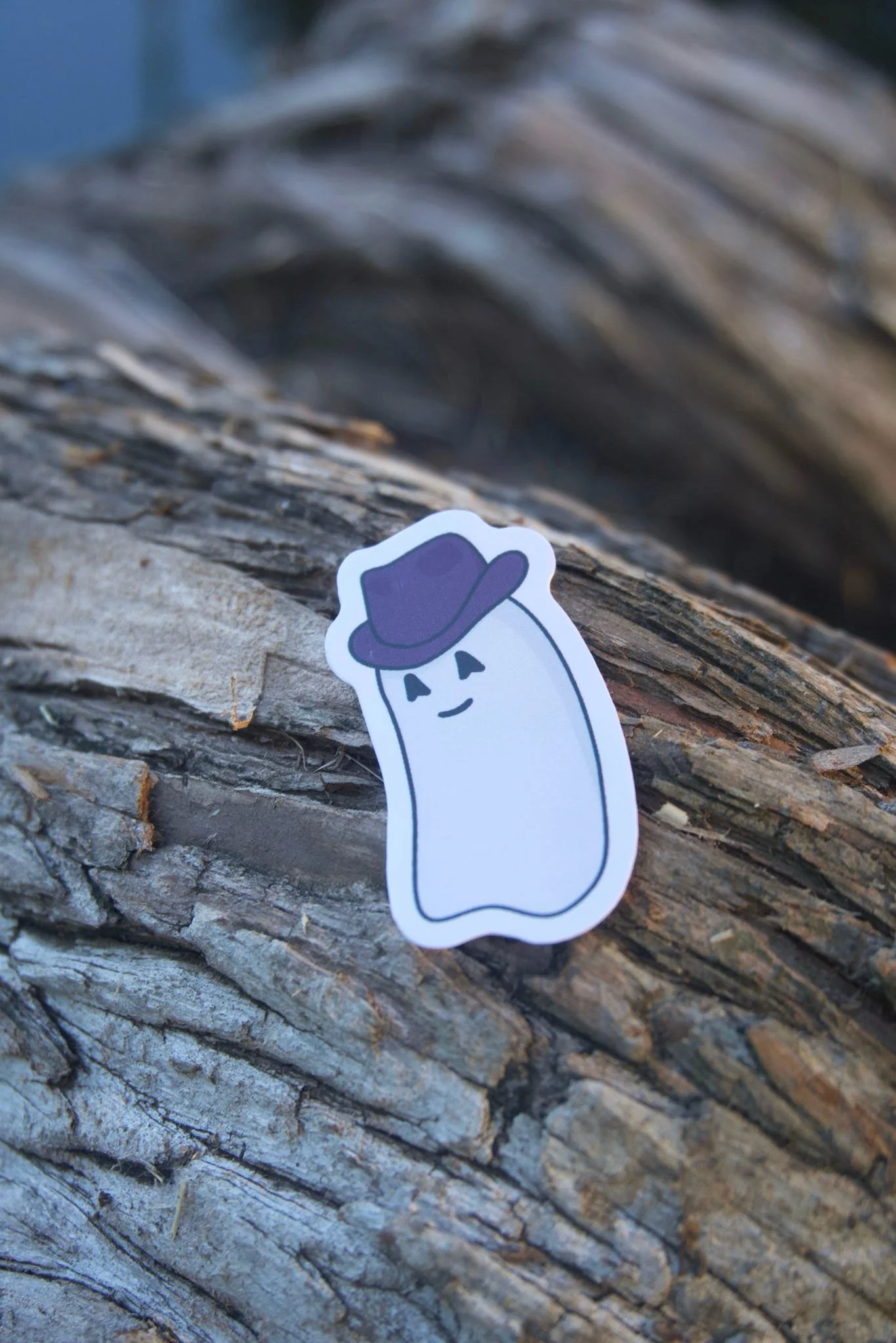 Texas State Ghost Sticker