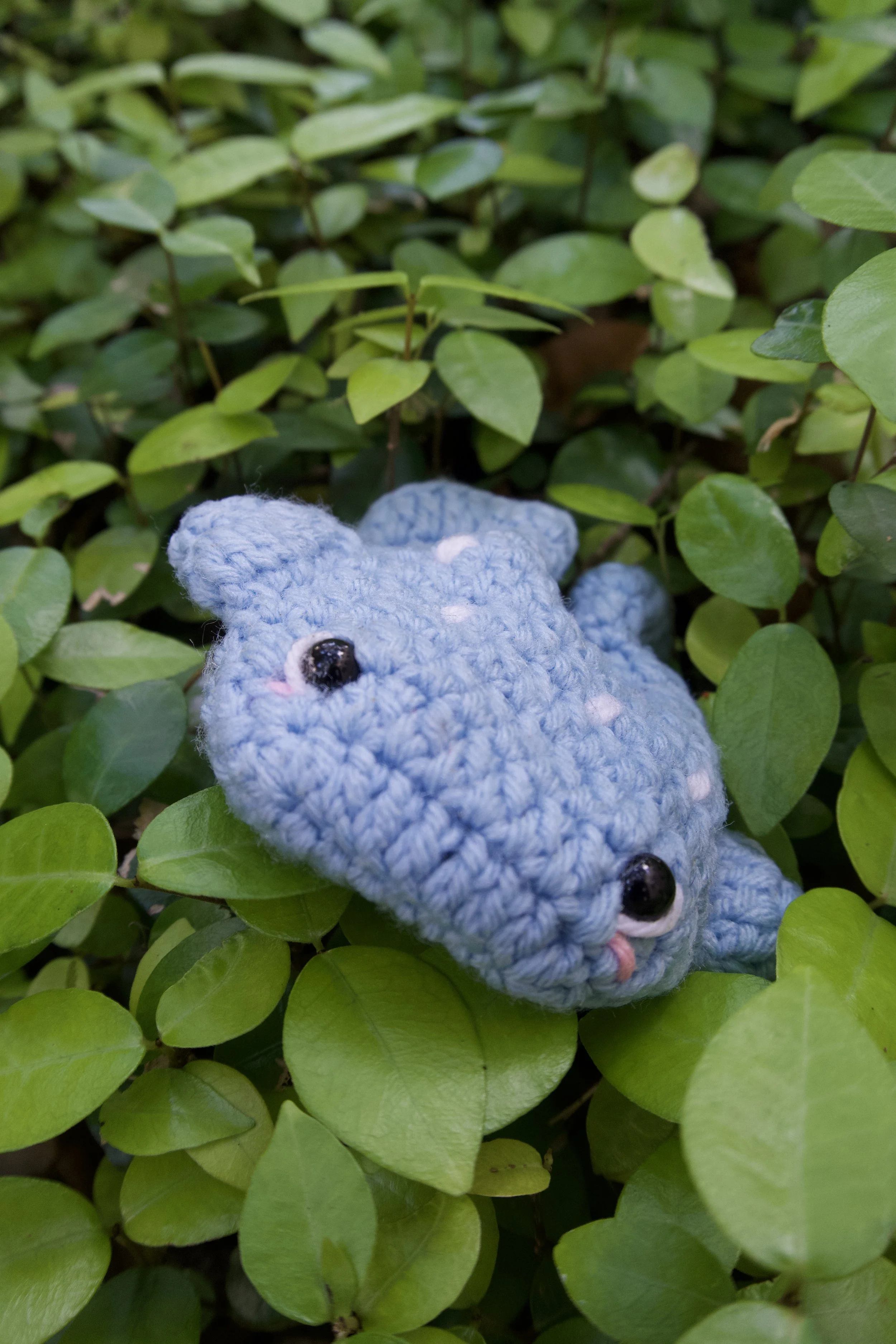 Whale Pouch on grass 3.jpeg