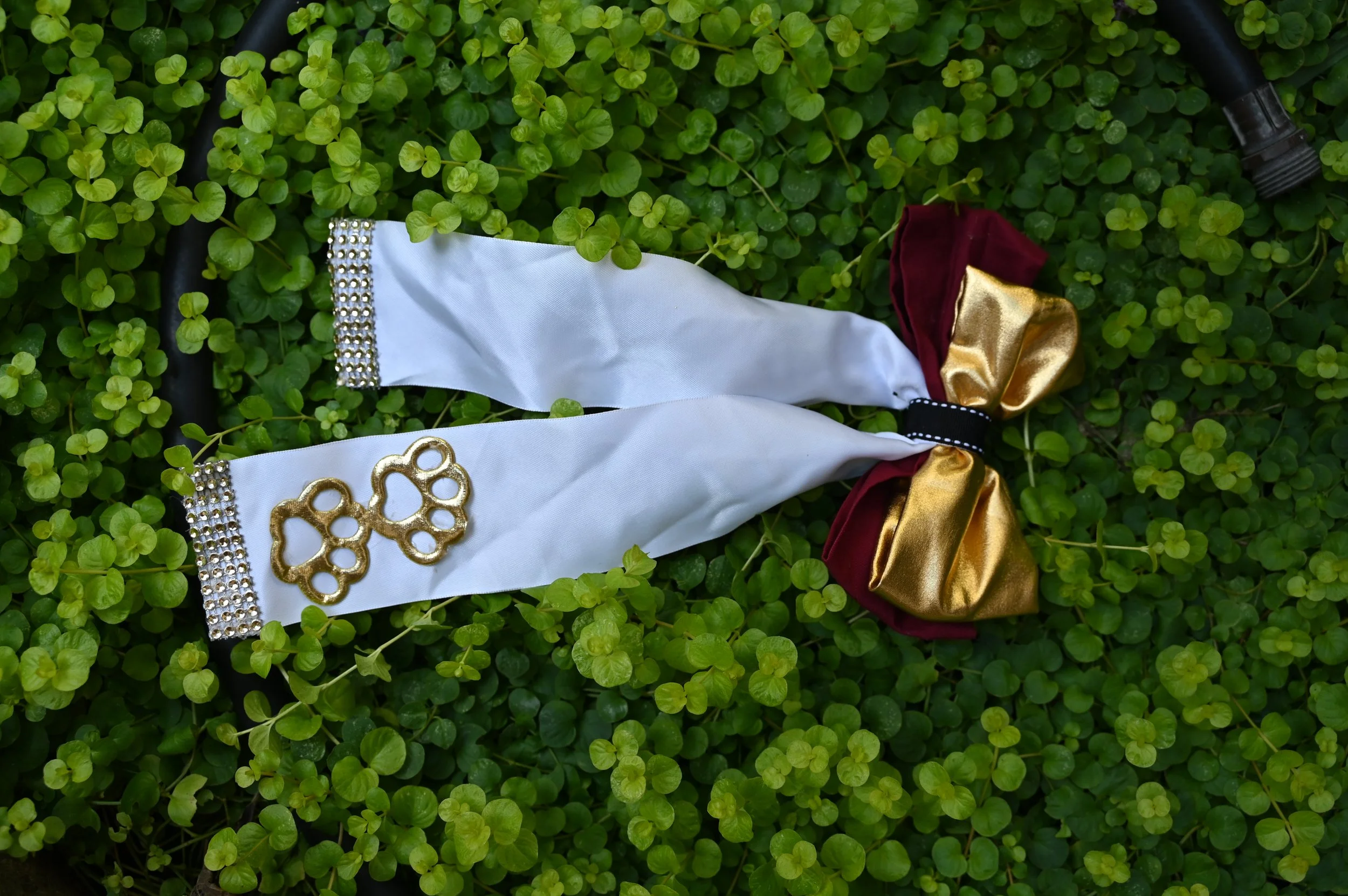 TXST INSPIRED PAW PRINT BOW