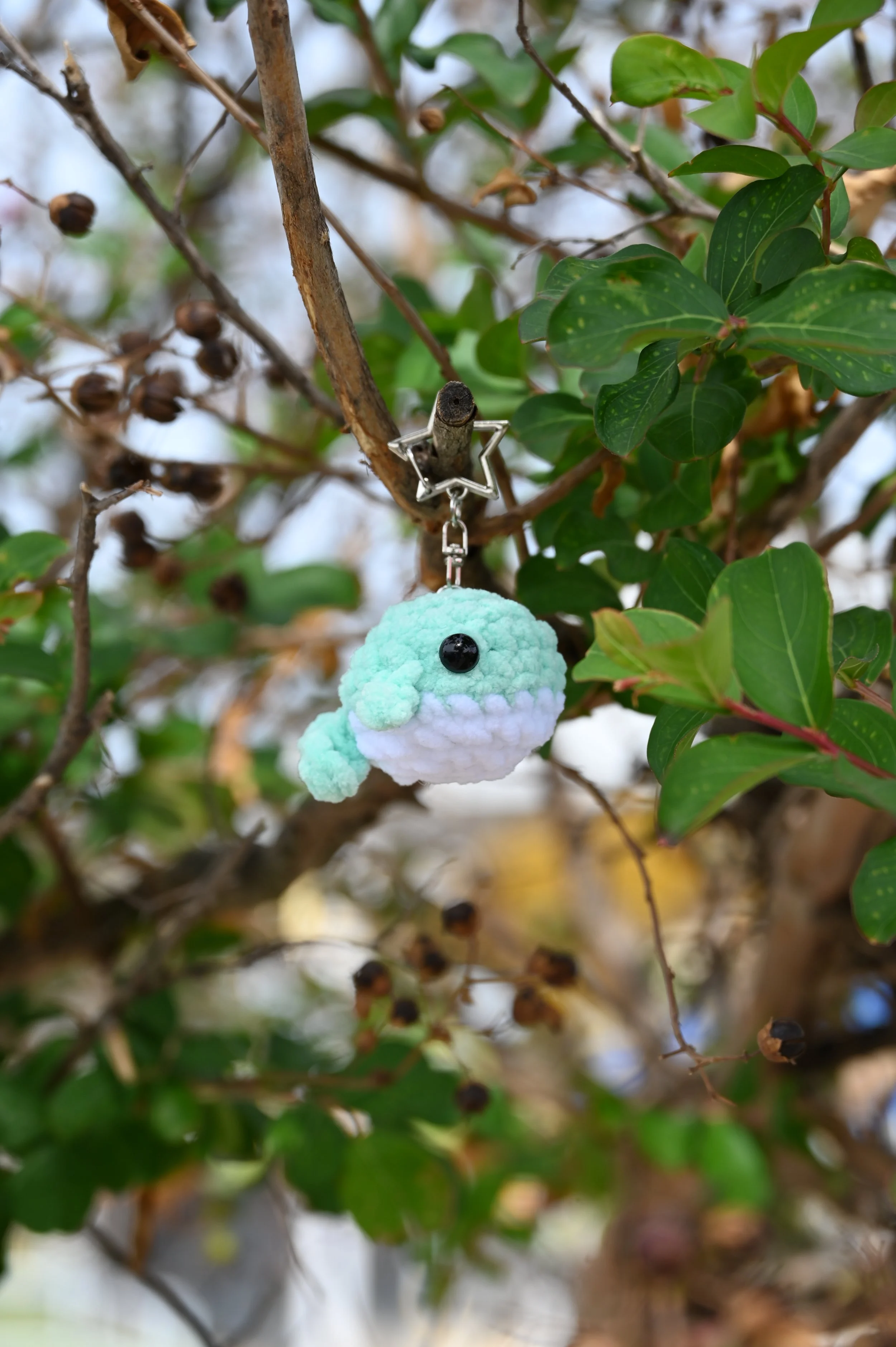 teal whale.JPG