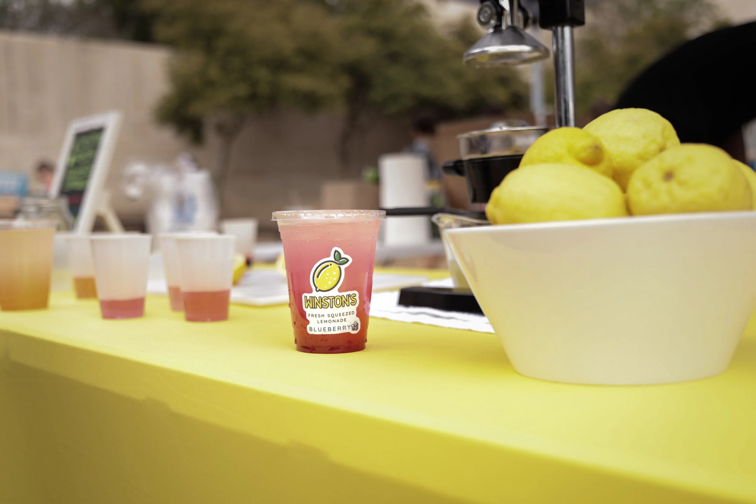 Blueberry Lemonade.jpeg