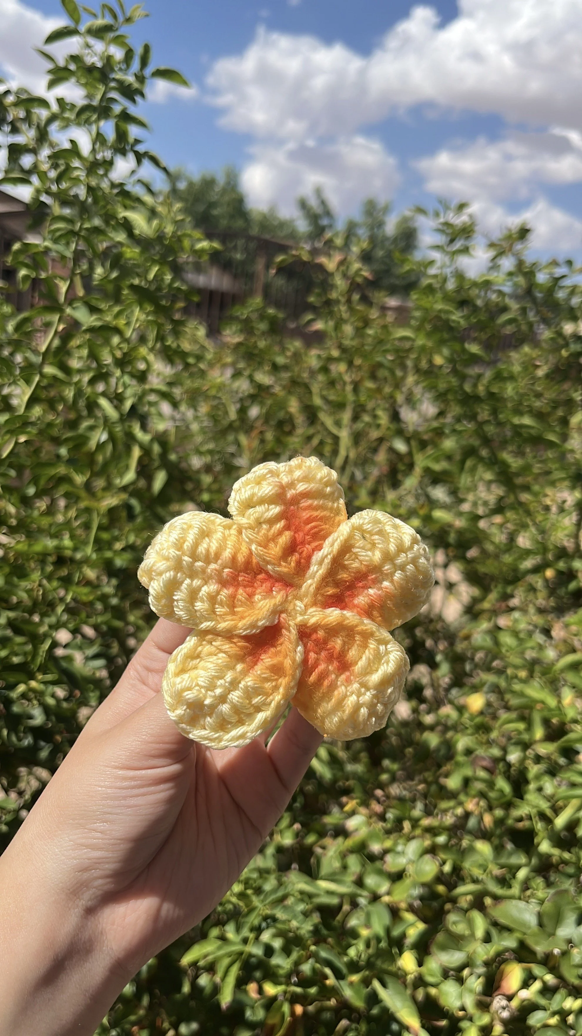 Summer Flower Hair Clip 1.jpeg