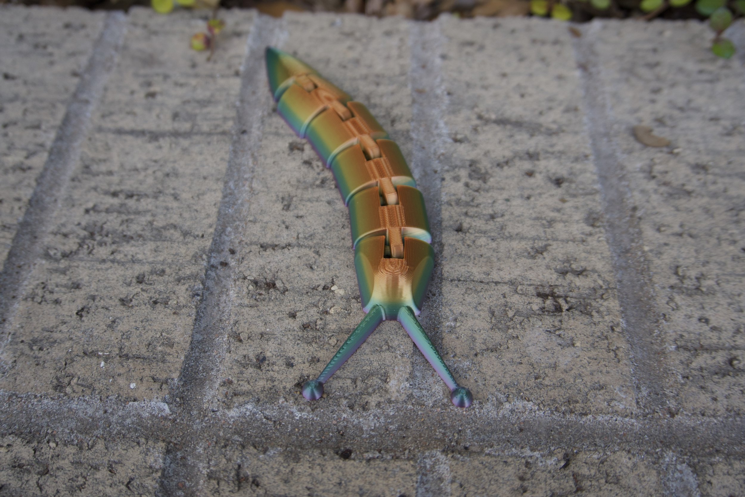 2nd Photo Flexi Slug.jpeg