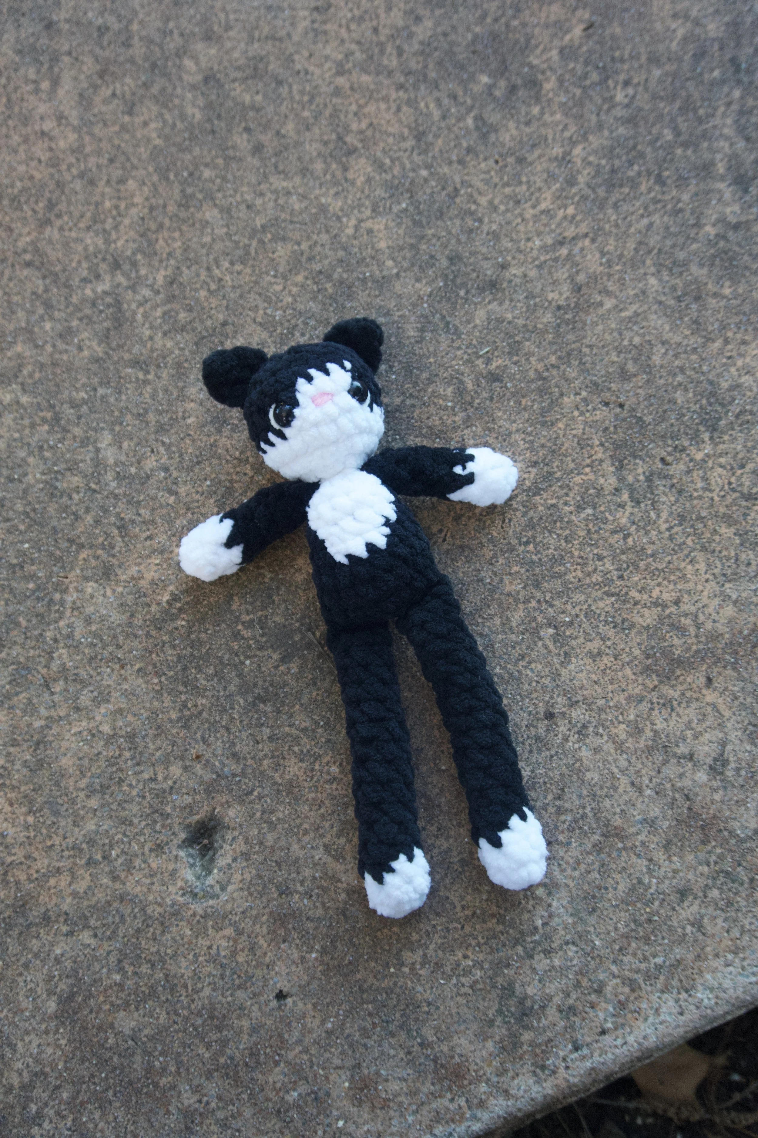 tuxedo cat on cement.jpeg