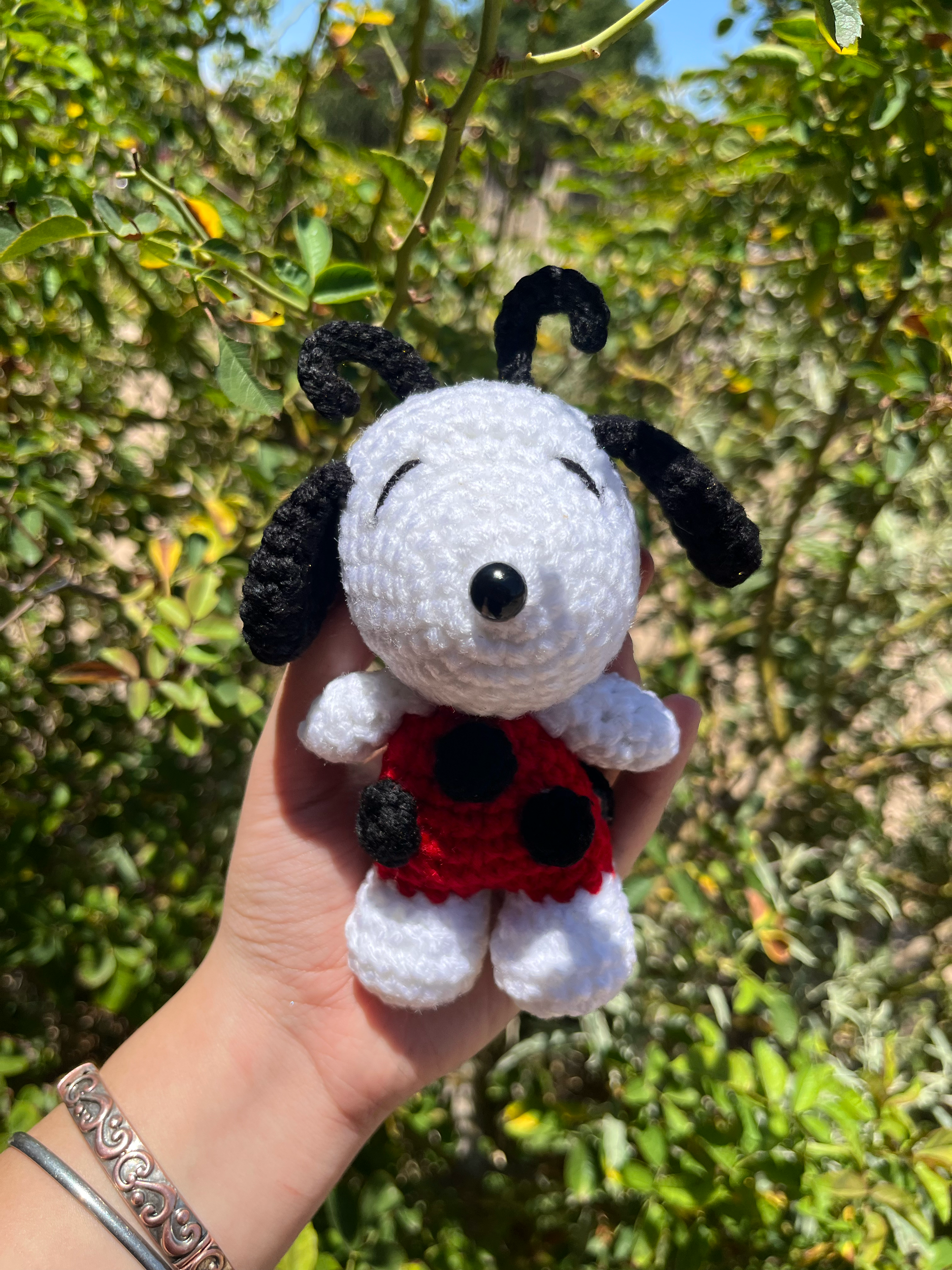 Ladybug+Snoopy+1.png