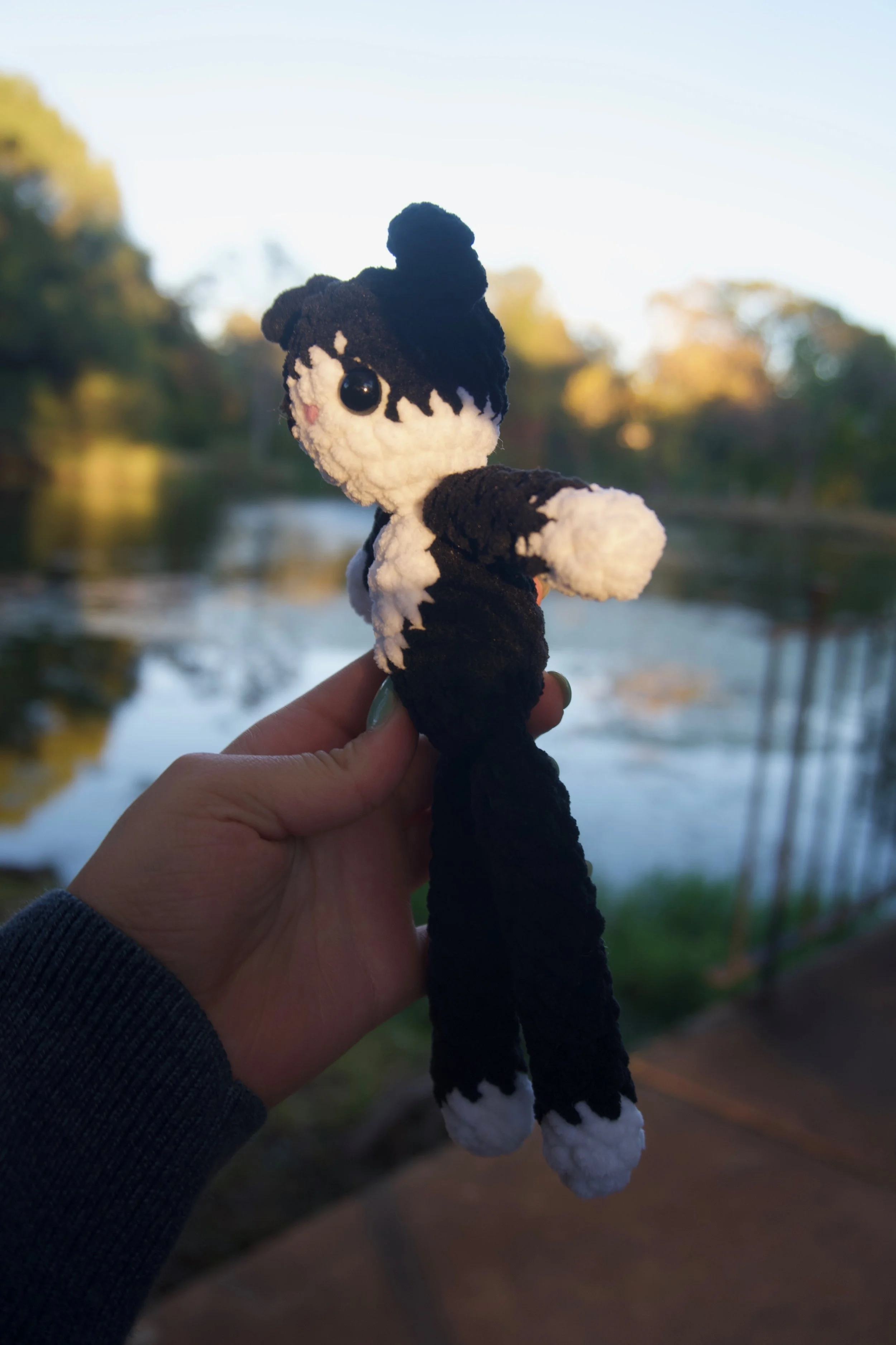 tuxedo cat side view.jpeg