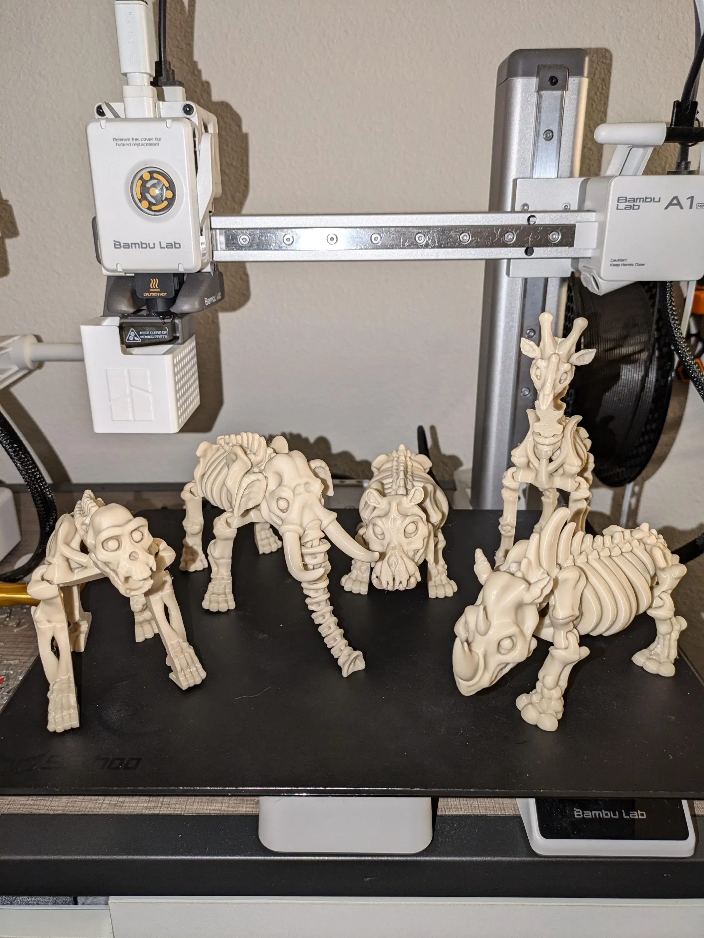 2nd Photo Bone Animals.webp