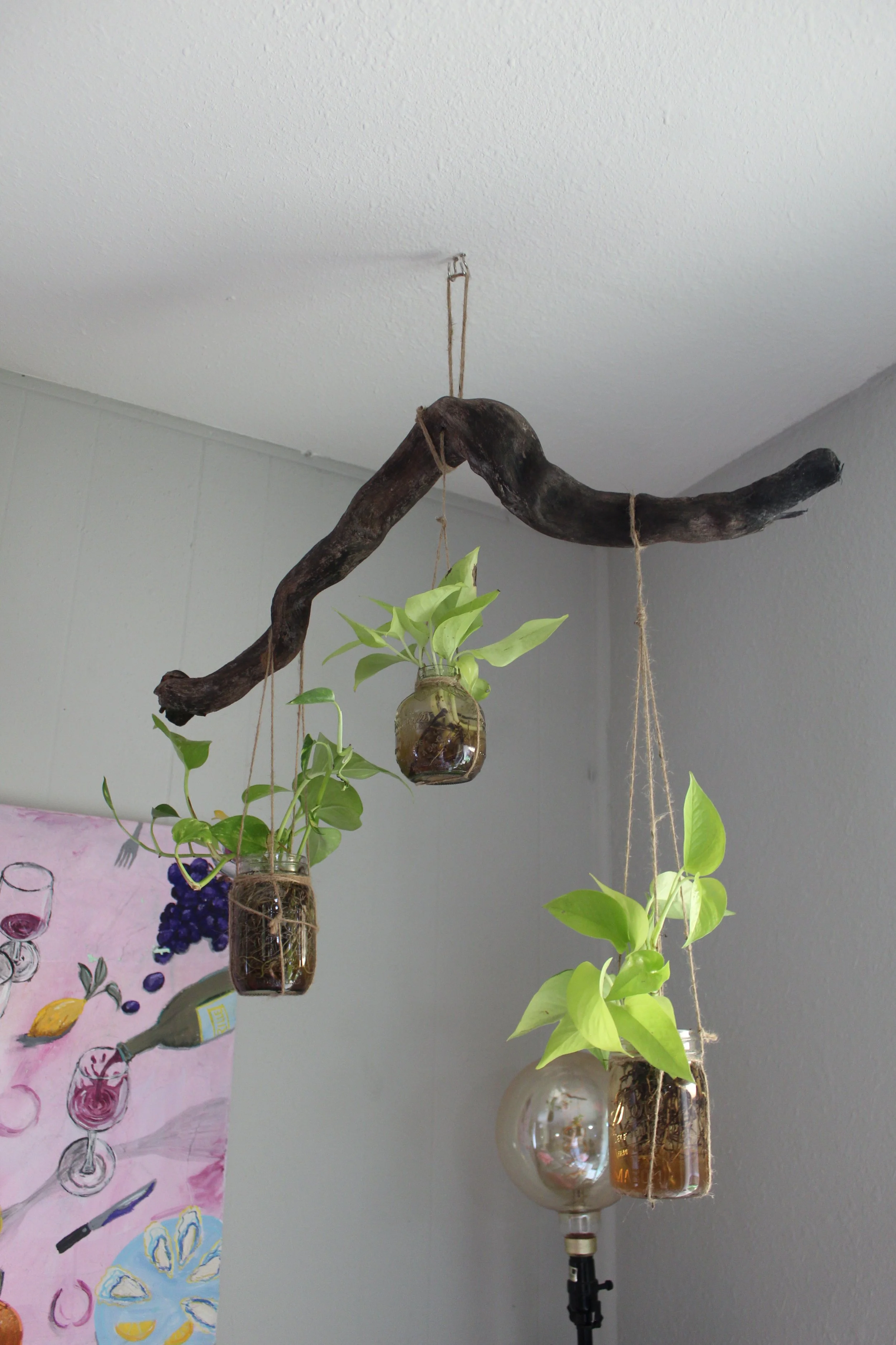 Plant Hanger (1).JPG