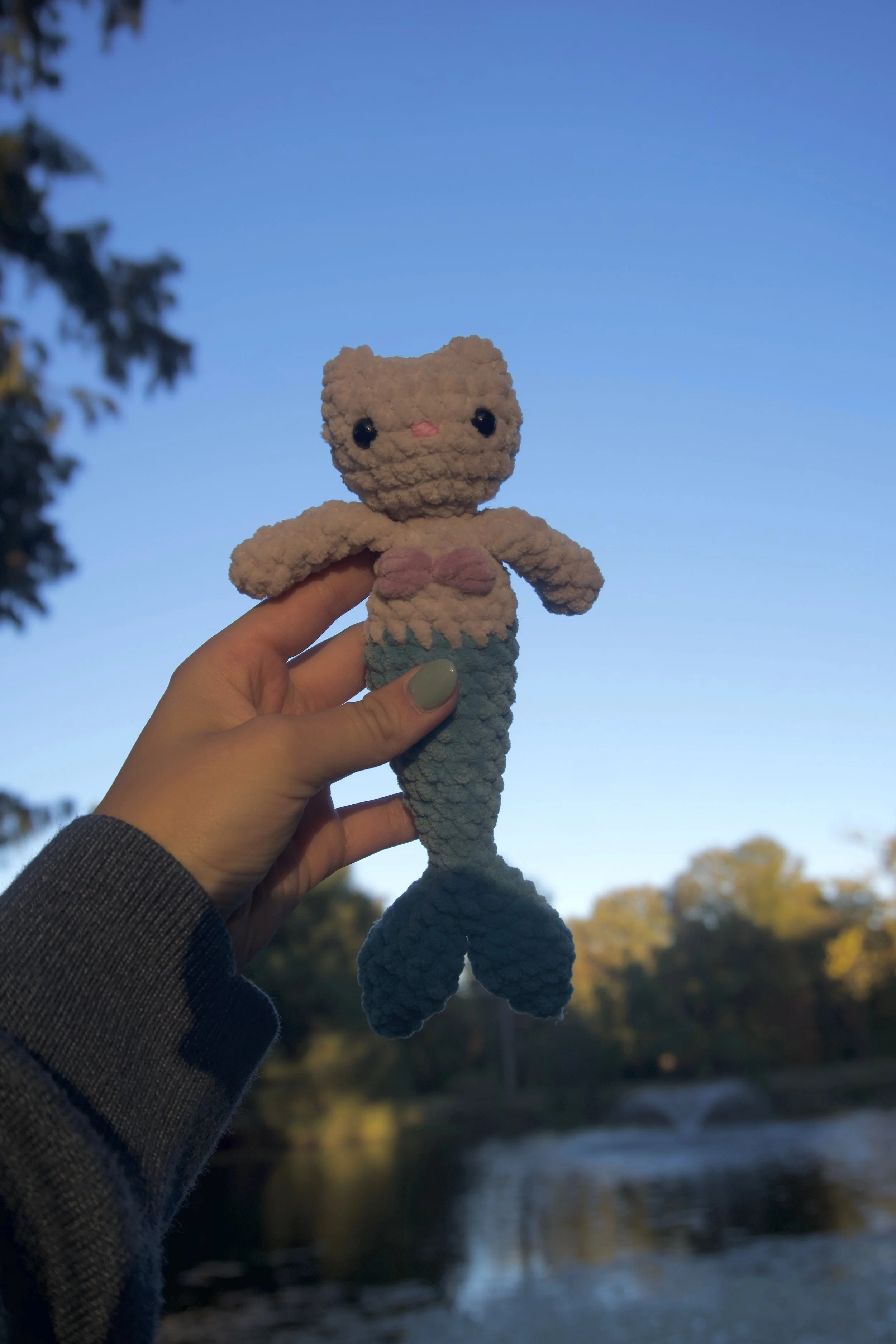 cat mermaid held up.jpeg