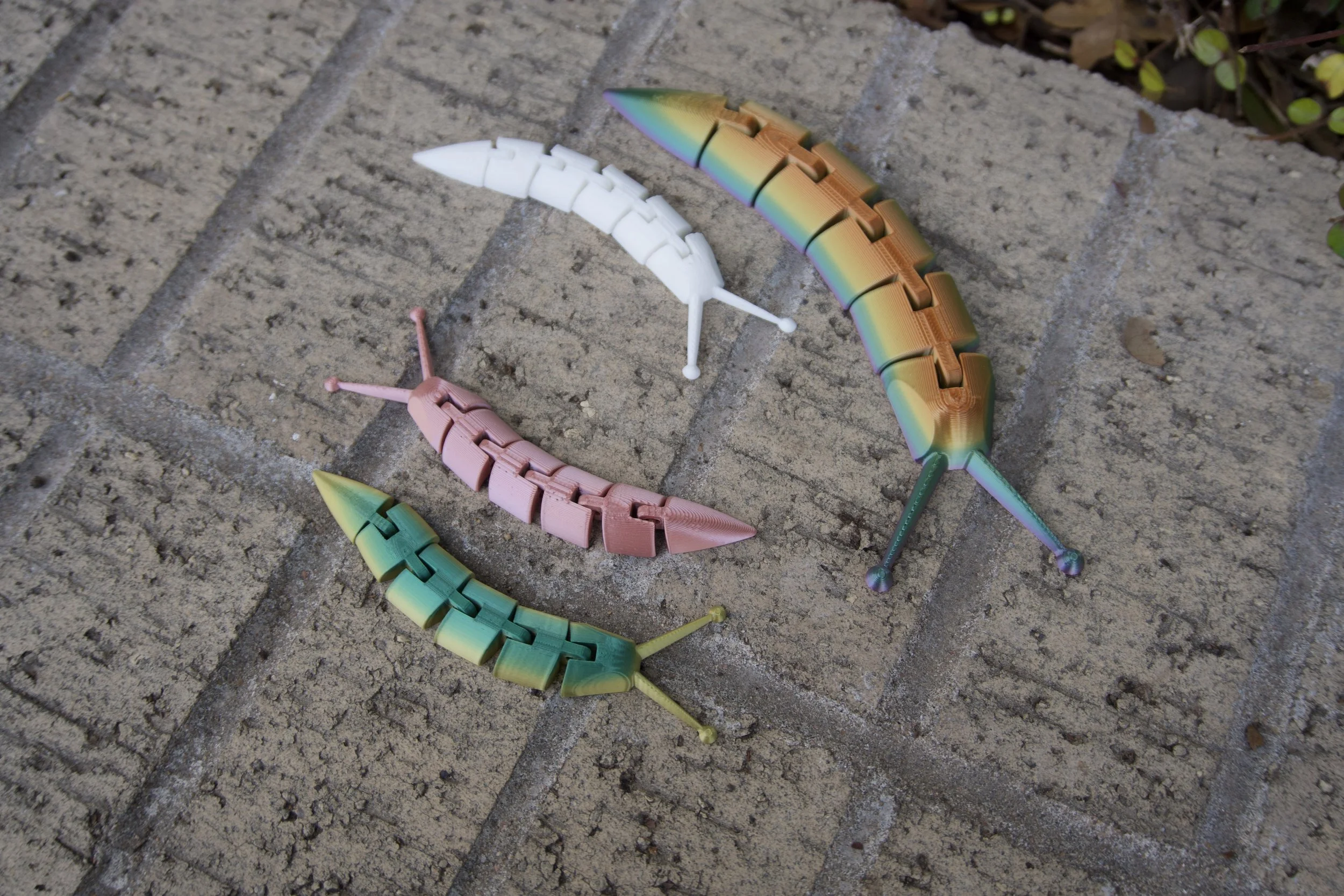 Main Photo Flexi Slug.jpeg