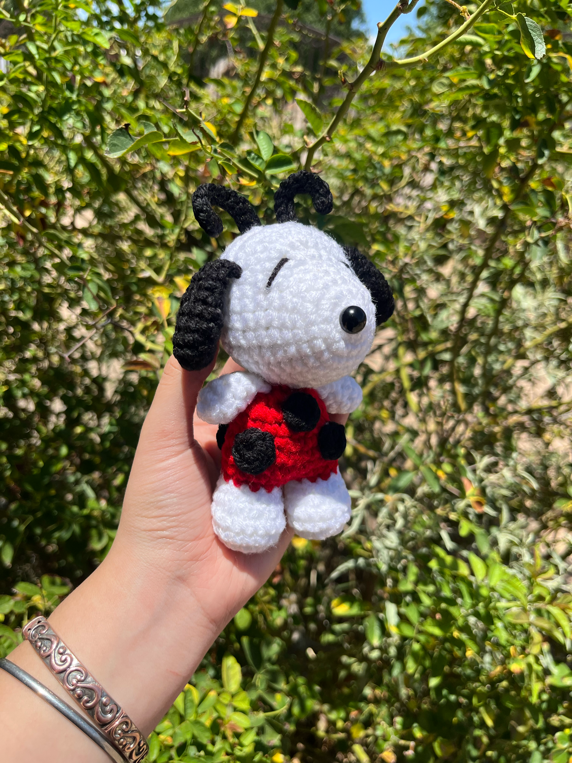 Ladybug+Snoopy+2.png