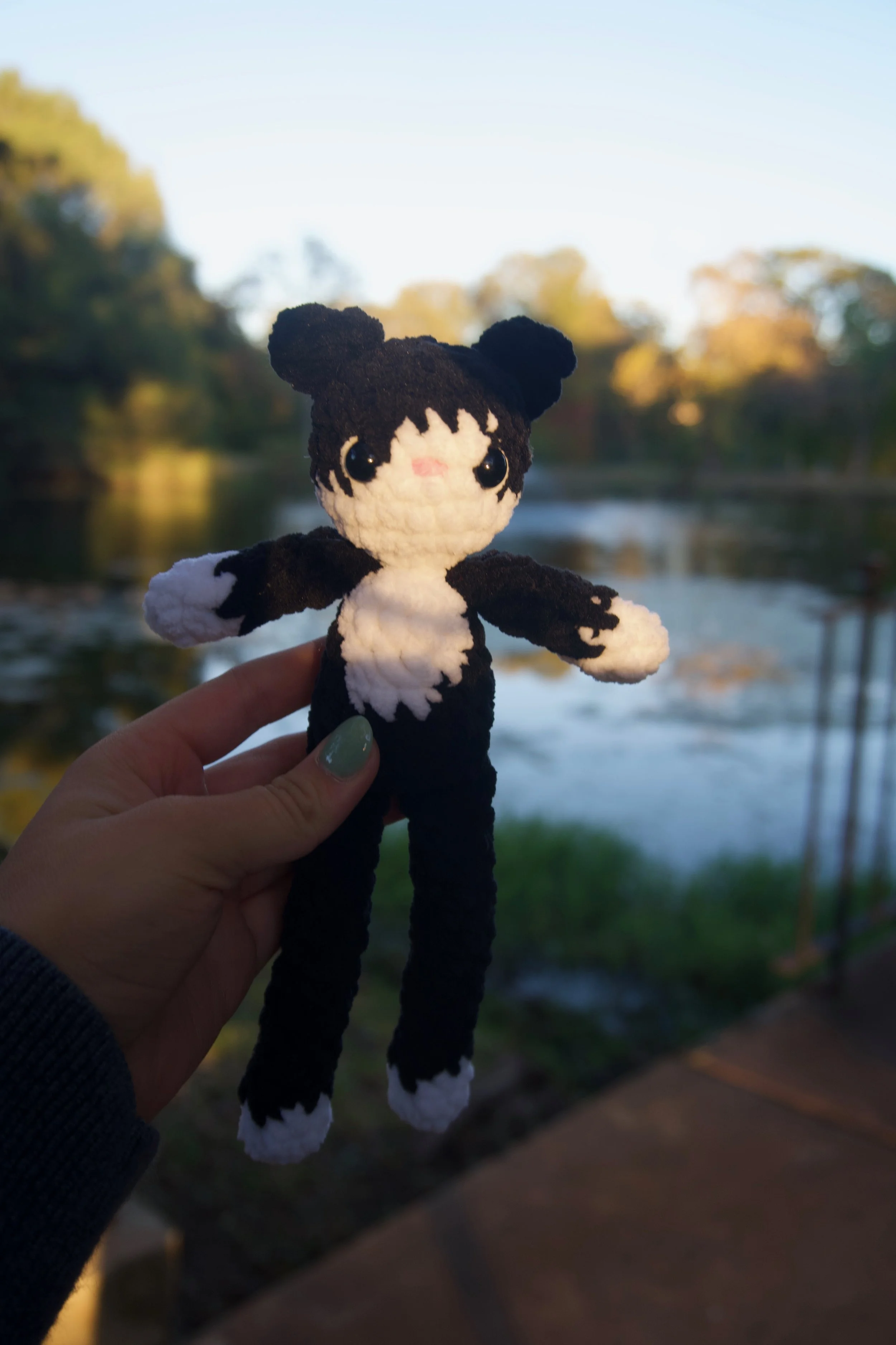 tuxedo cat held up.jpeg