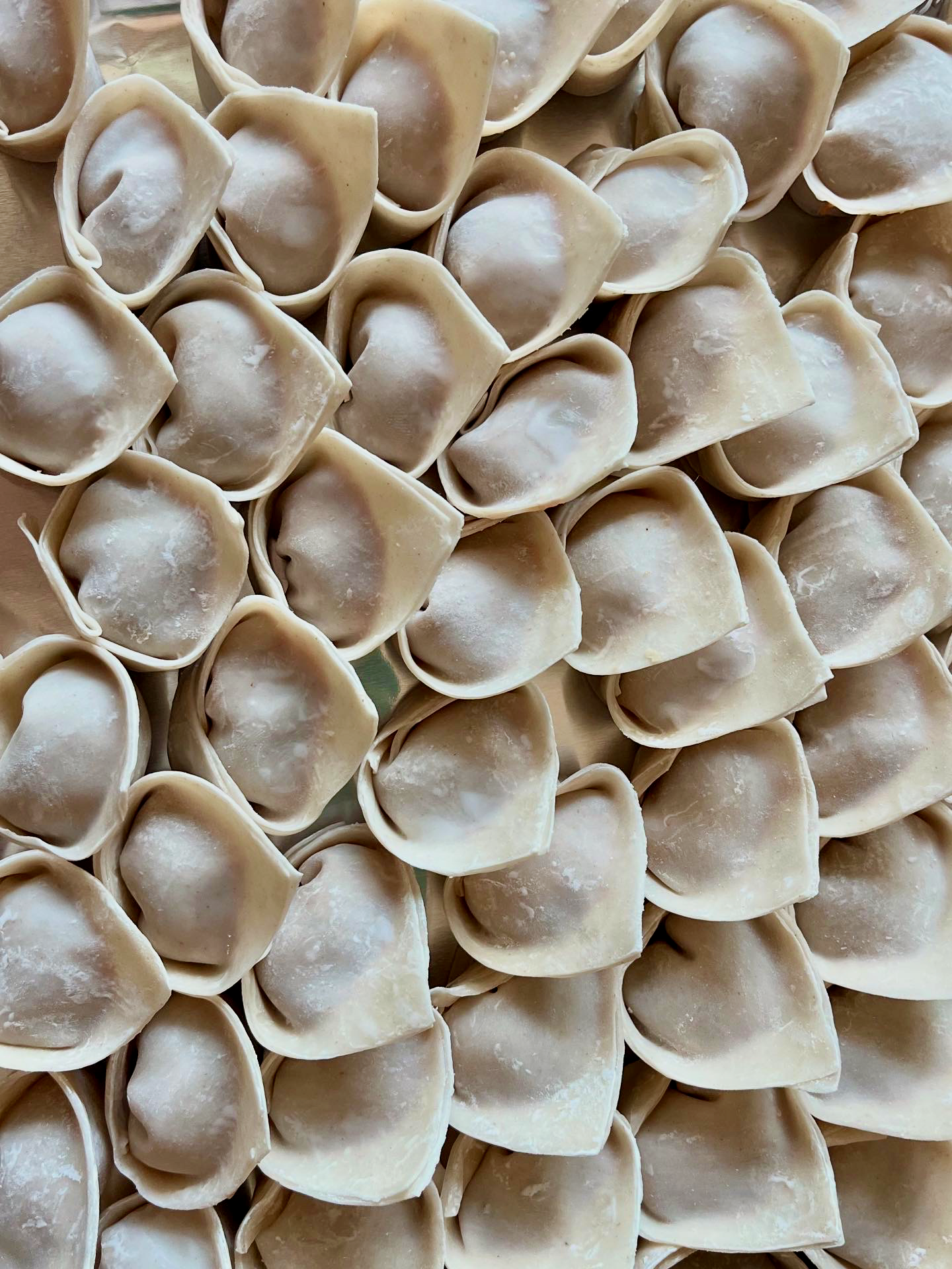 Pork & Vegetable Wontons