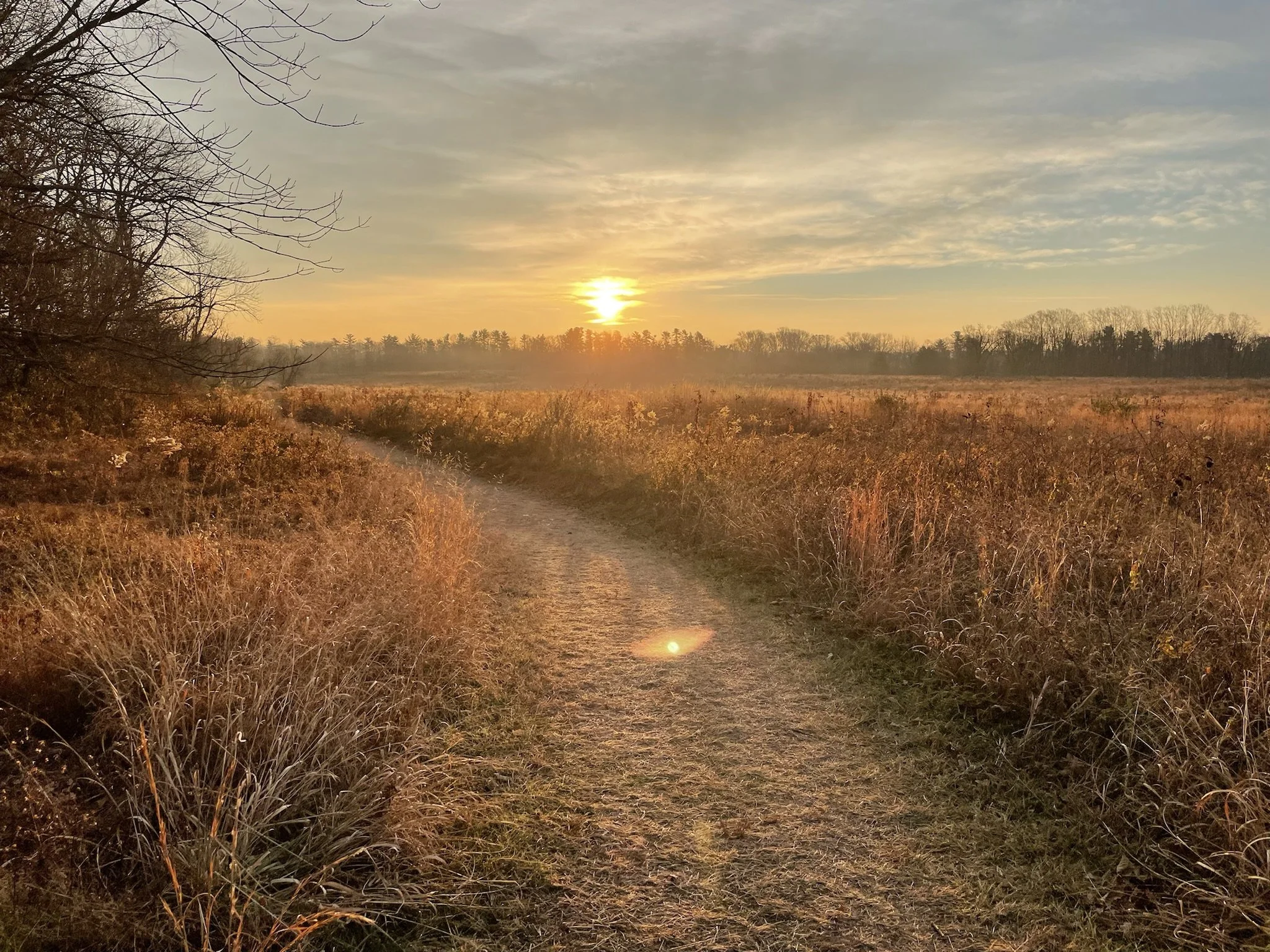 Video editing $100/Hr