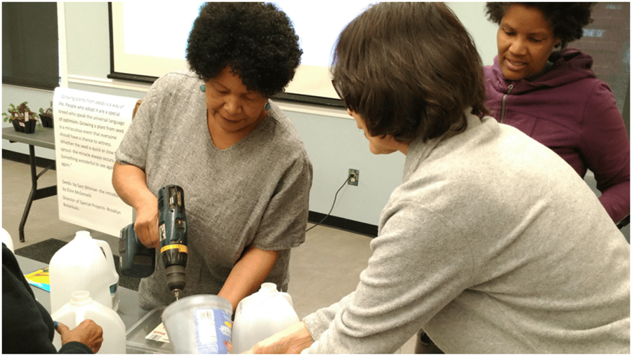 Consulting & Workshop Services