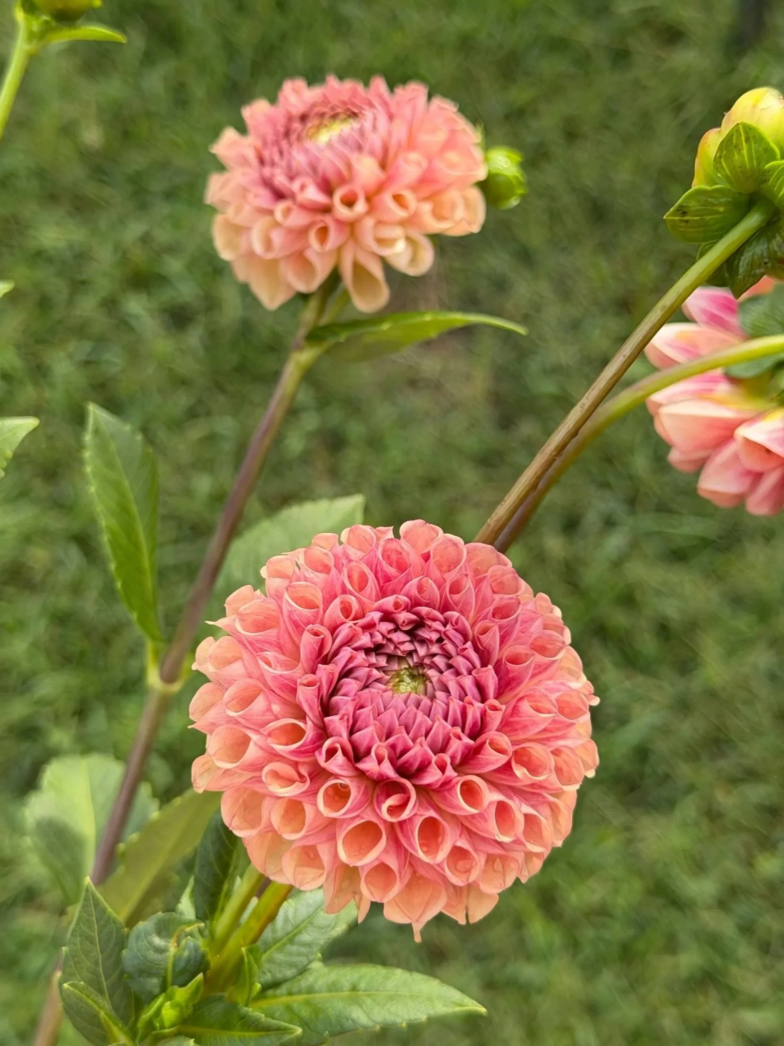 BD6B93FA-186B-4700-9912-6E98A06EE1EA.jpg