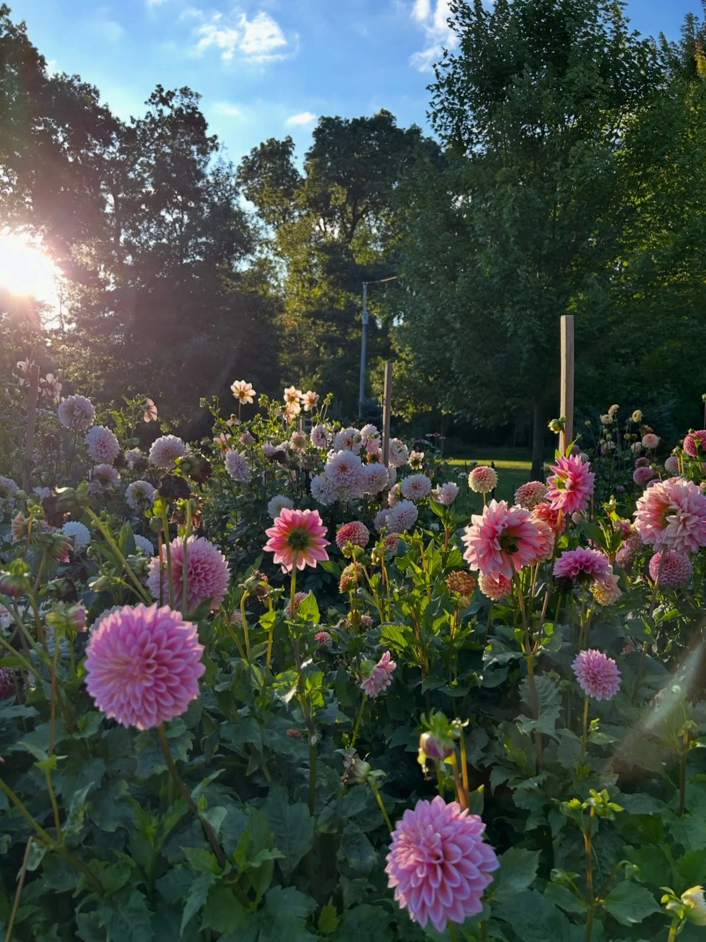 bits and bobs this week. I&rsquo;m big on collages, prayer boards, pinterest &amp; letting my imagination run wild. when I&rsquo;m trying to be intentional where I spend my time and energy (like during Holy Week or times of fasting), I will still all