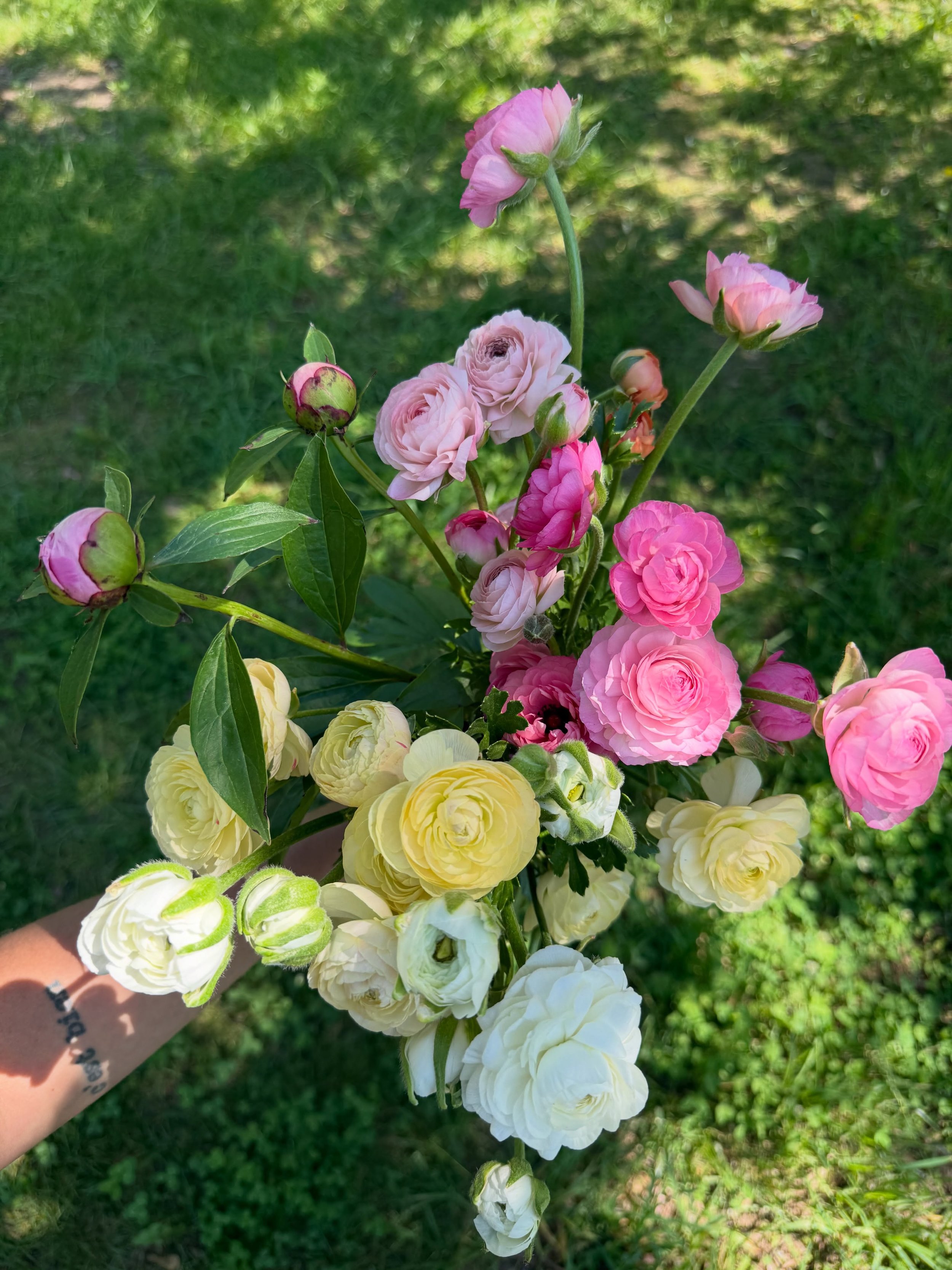 Woooow! What a spring. I think I&rsquo;ve started nearly every post and every email this way. This spring has been a real challenge for everyone growing flowers. Peonies getting bud blast, a new fertilizer burned up half of our trays, ranunculus are 