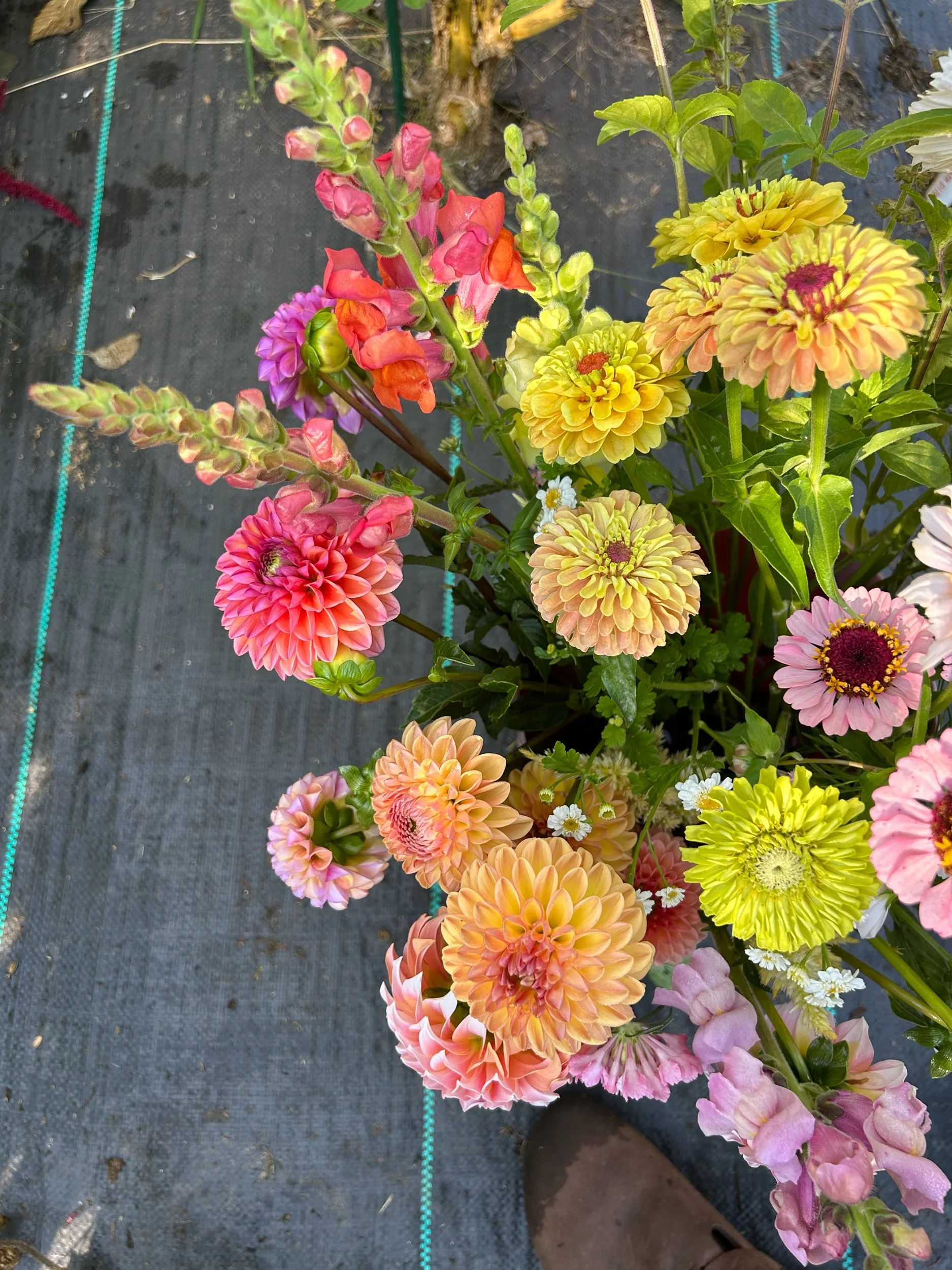 Floral Arranging Night