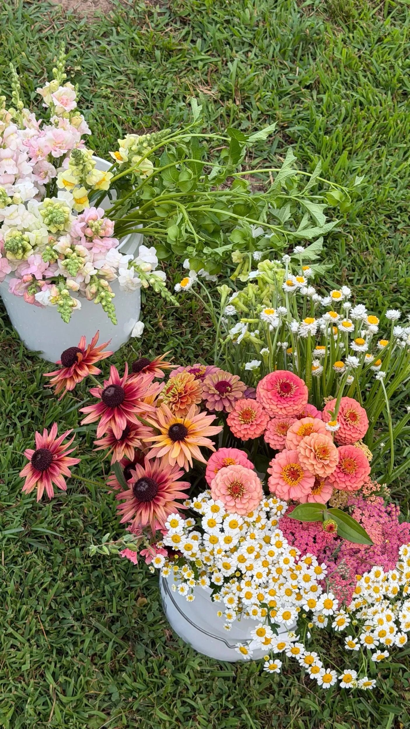 Bucket of Flowers  *As of 7/14/26 Please contact before purchasing*