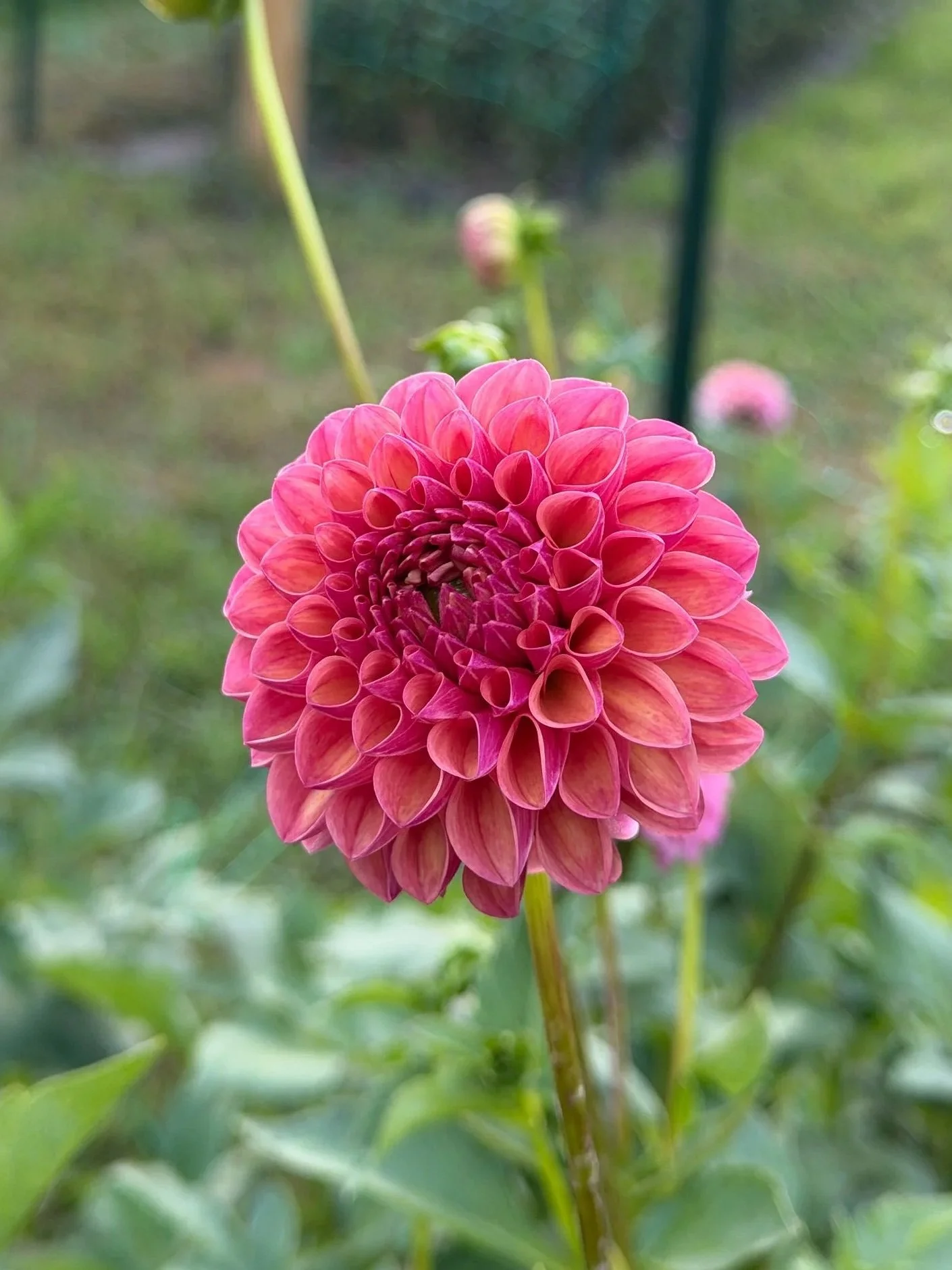C05072D7-99E1-4998-B9C7-32CAC85E1EE6.jpg