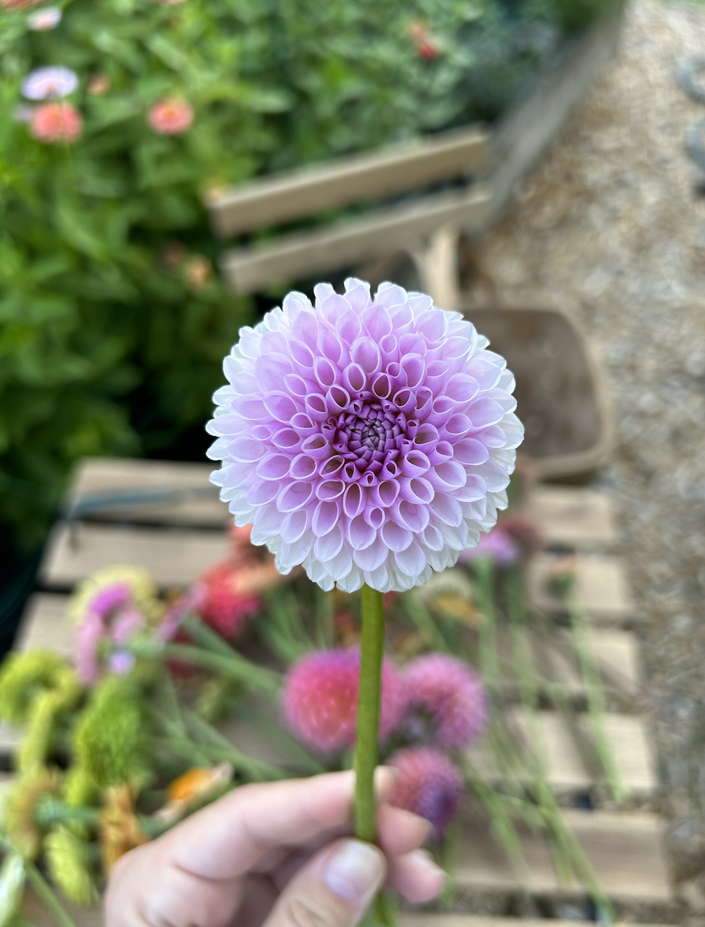 Megan Dean *Building Stock*