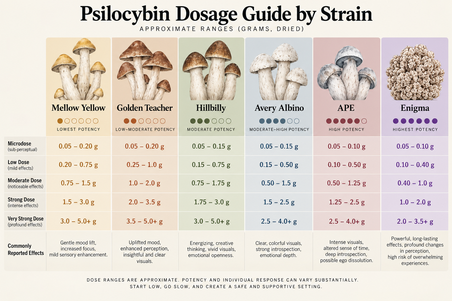 Understanding Psilocybin Dosage: Why the Number on the Scale Is Only Part of the Story