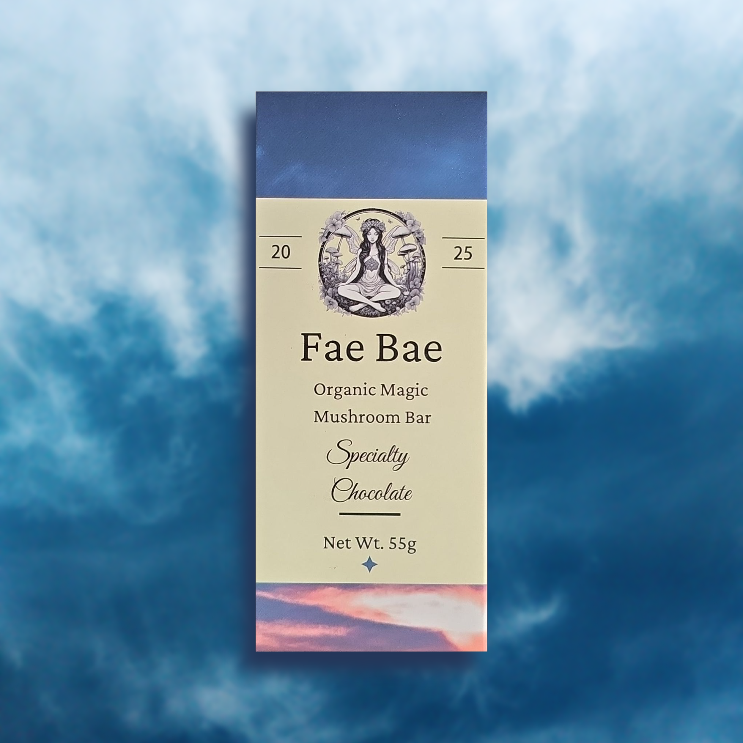 Specialty Chocolate Magic Mushroom Bar (Hillbilly)