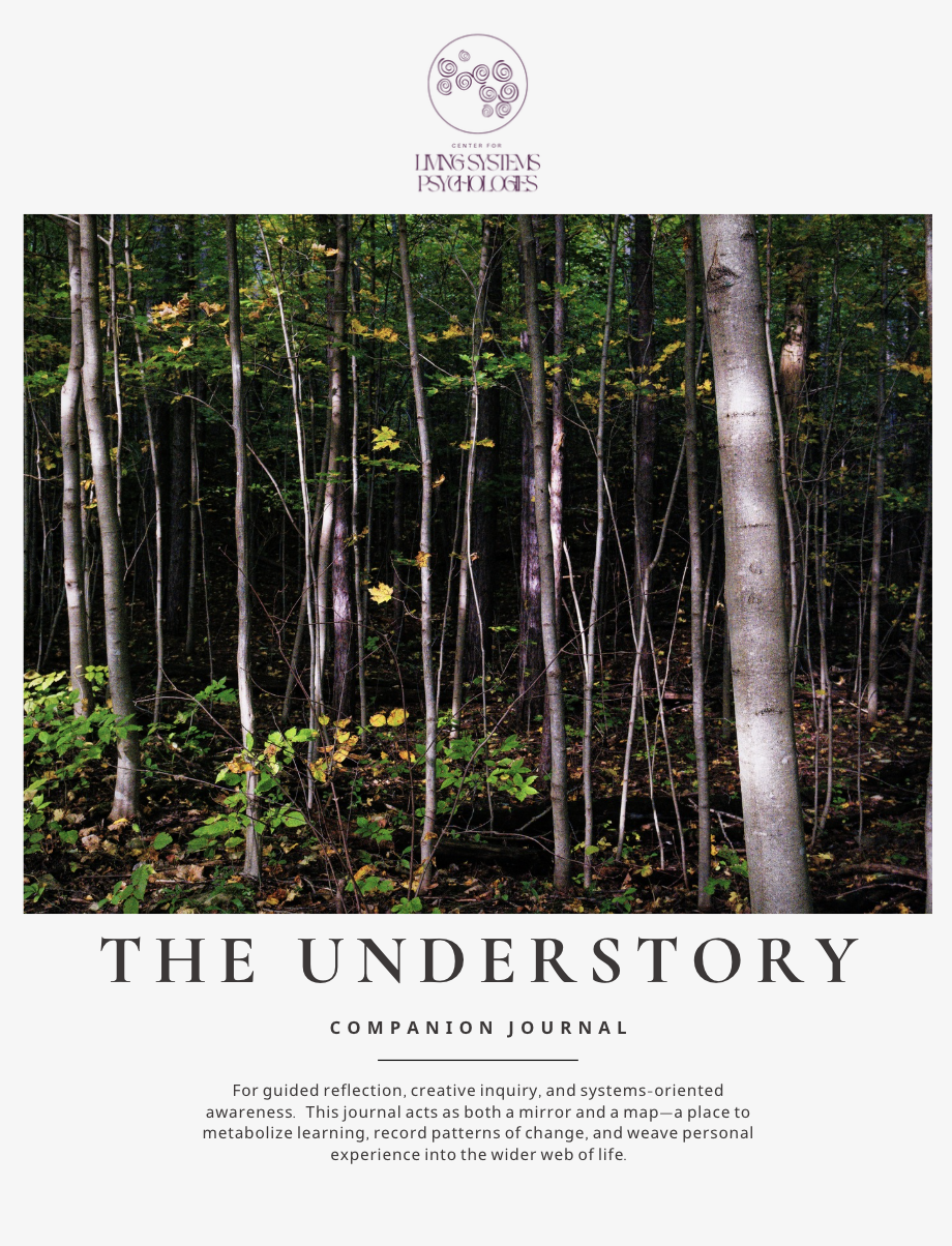 Cover of a journal titled 'The Understory' with a photograph of a dense forest with tall, slender trees and green foliage.
