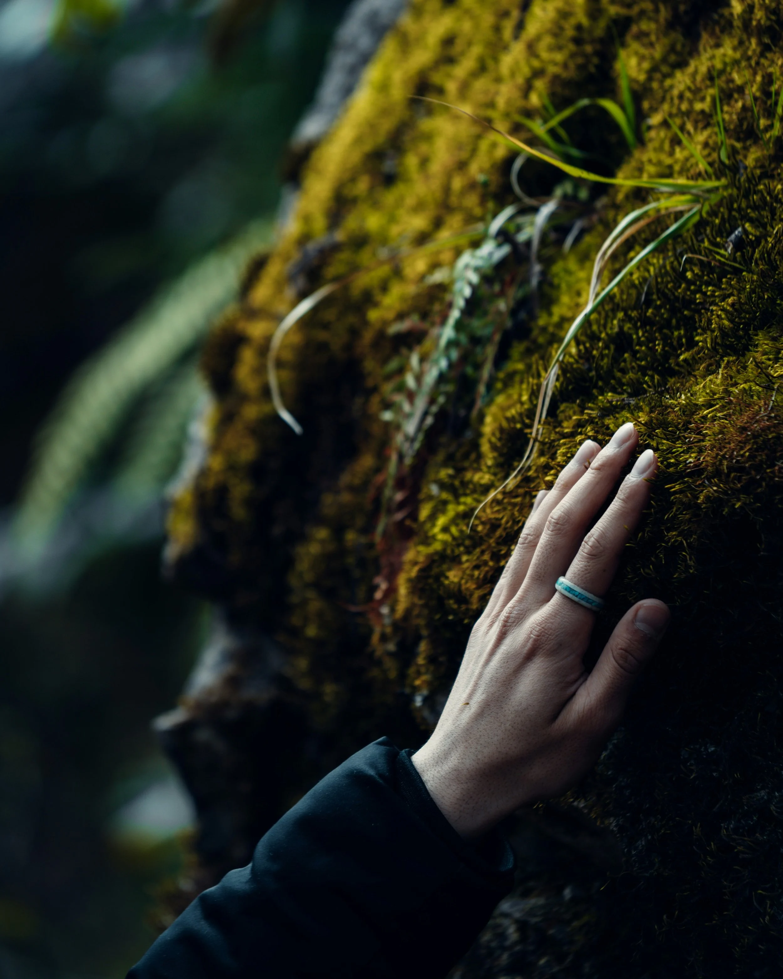 A hand with a ring touches moss-covered tree bark with small plants growing on it.