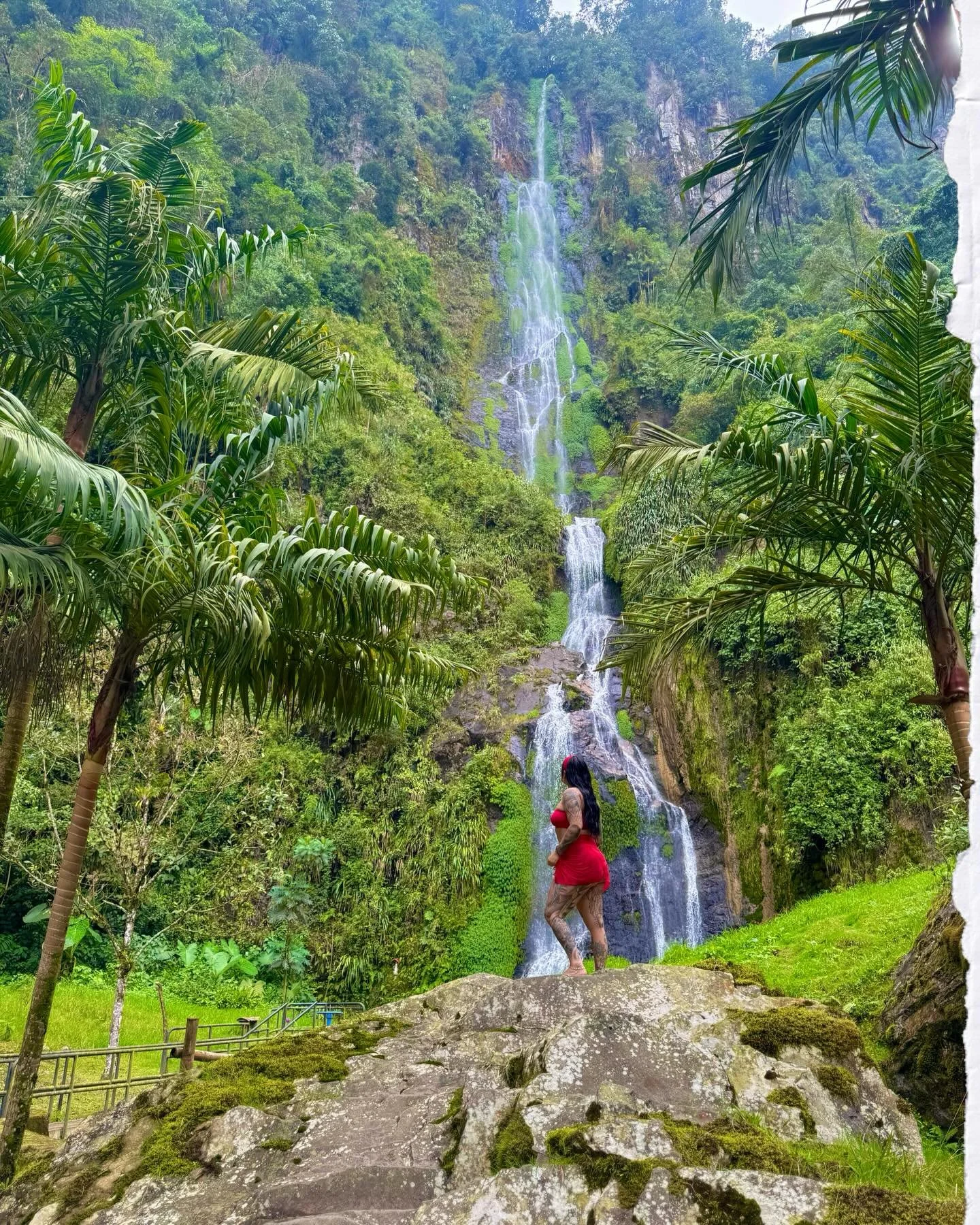 Adventurer at heart, tattoo artist by passion, and cat mom by choice ✨🐾

Just a little glimpse into my life!☺️
Balancing tattooing and life,
learning how to slow down 
and enjoy the now.💖