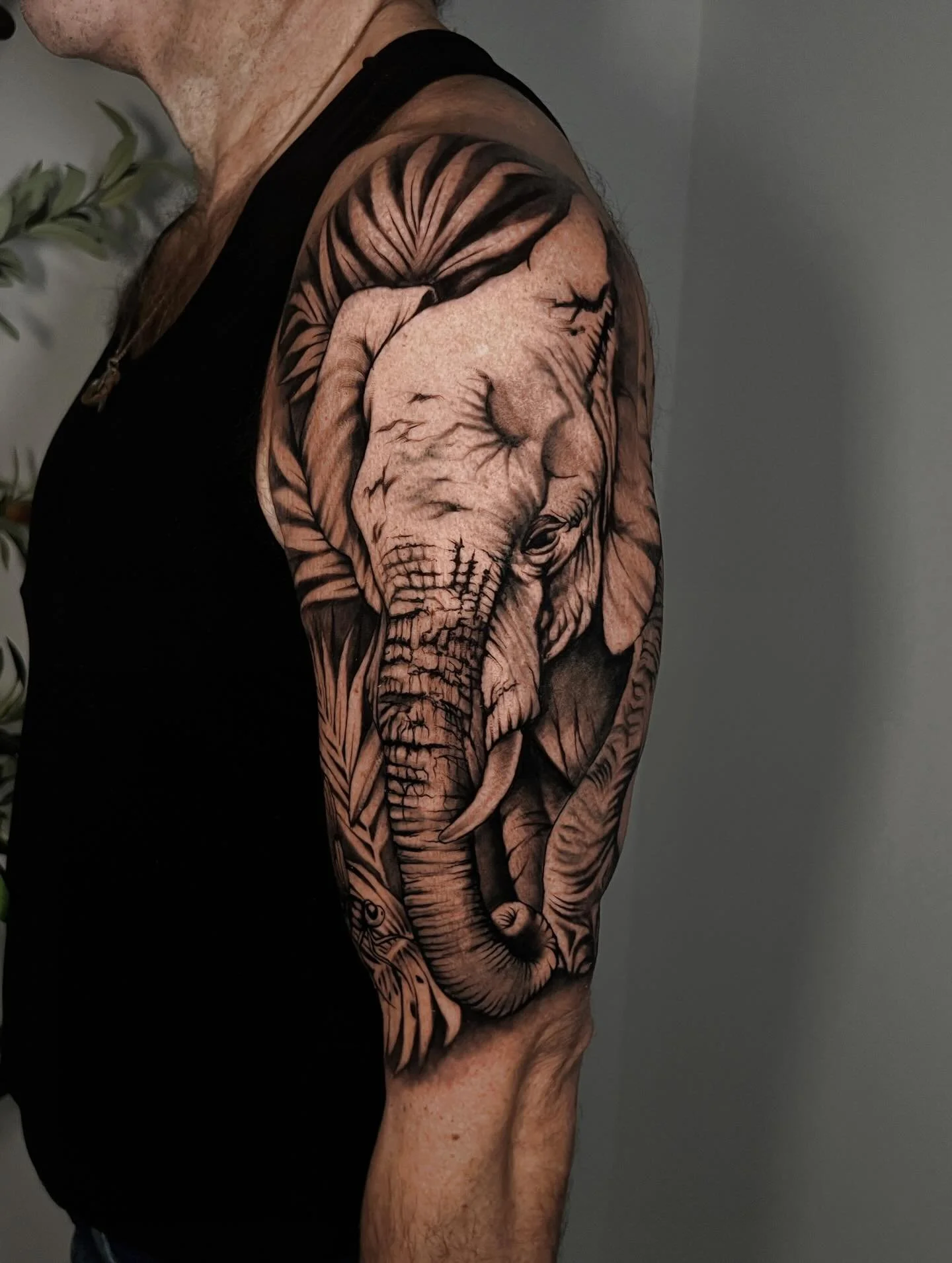 Starting this sleeve 🐘✨
We still have a few more sessions to go, but I&rsquo;m really happy with how this first session turned out.
Loving the process 🤍

Booking 💌

Available spots for
@philadelphiatattooartsfestival
January 23rd&ndash;25th

Link 