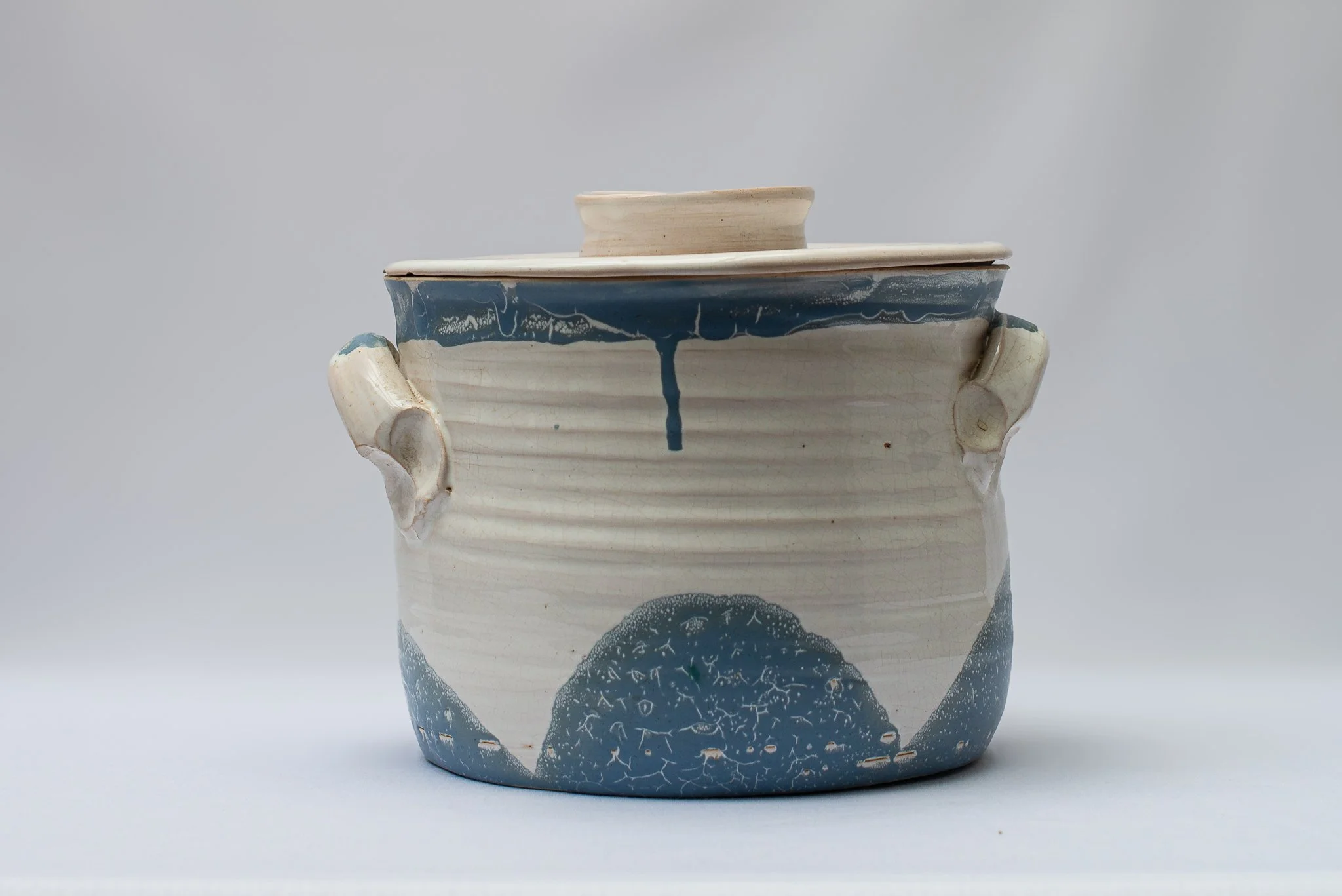 WTF blue and white storage with flat lid x 1.jpg