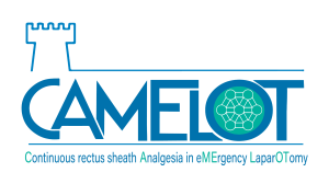 Logo for CAMELT with a castle tower icon and a spherical graphic representing technology or network, and accompanying text that reads: 'Continuous rectus sheath Analgesia in eM Emergency Lapar O T omy.'