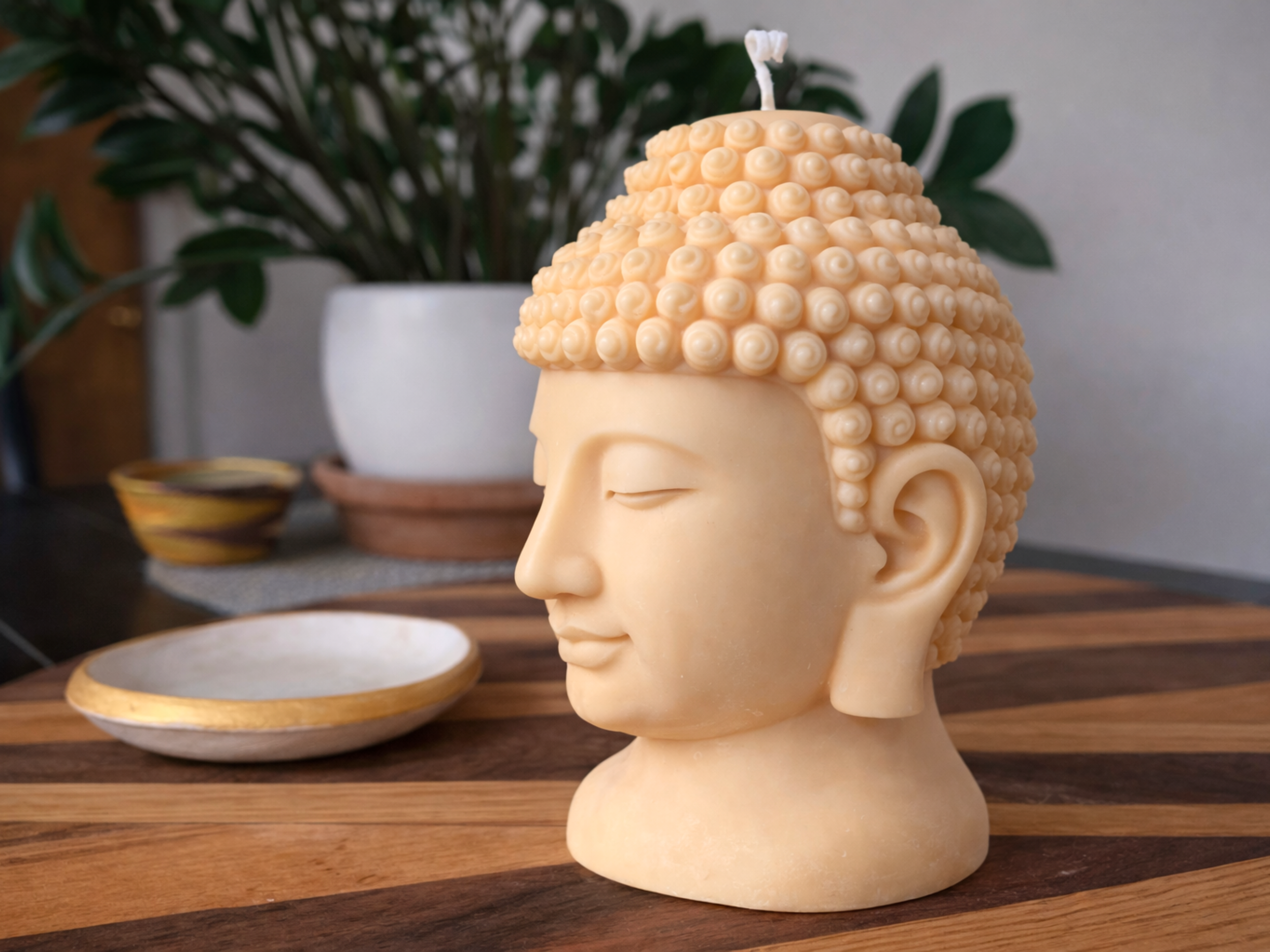 Twelve Stones Images-31.png