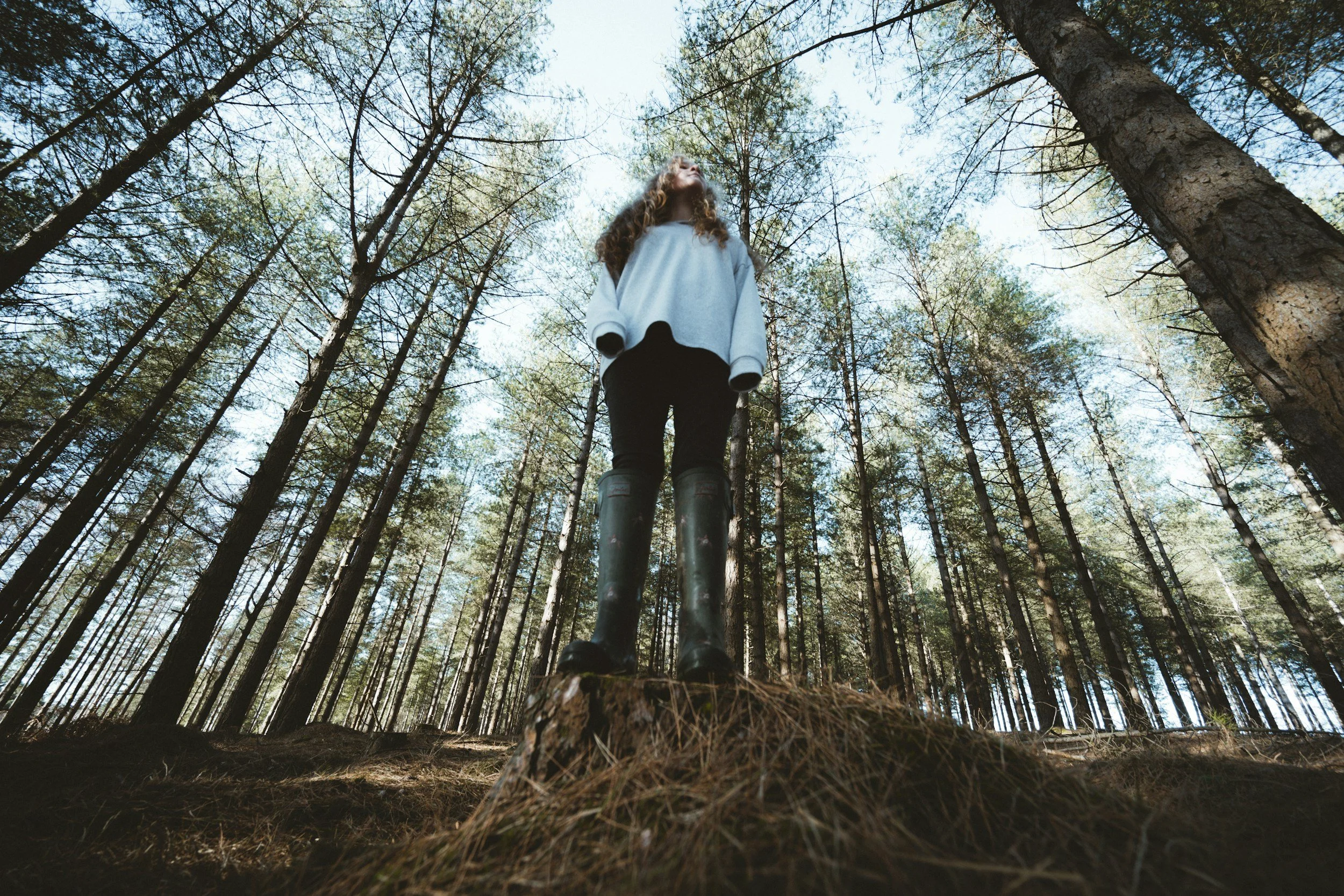 A woman standing on a tree stump in a forest, looking up, surrounded by tall trees and a clear sky.