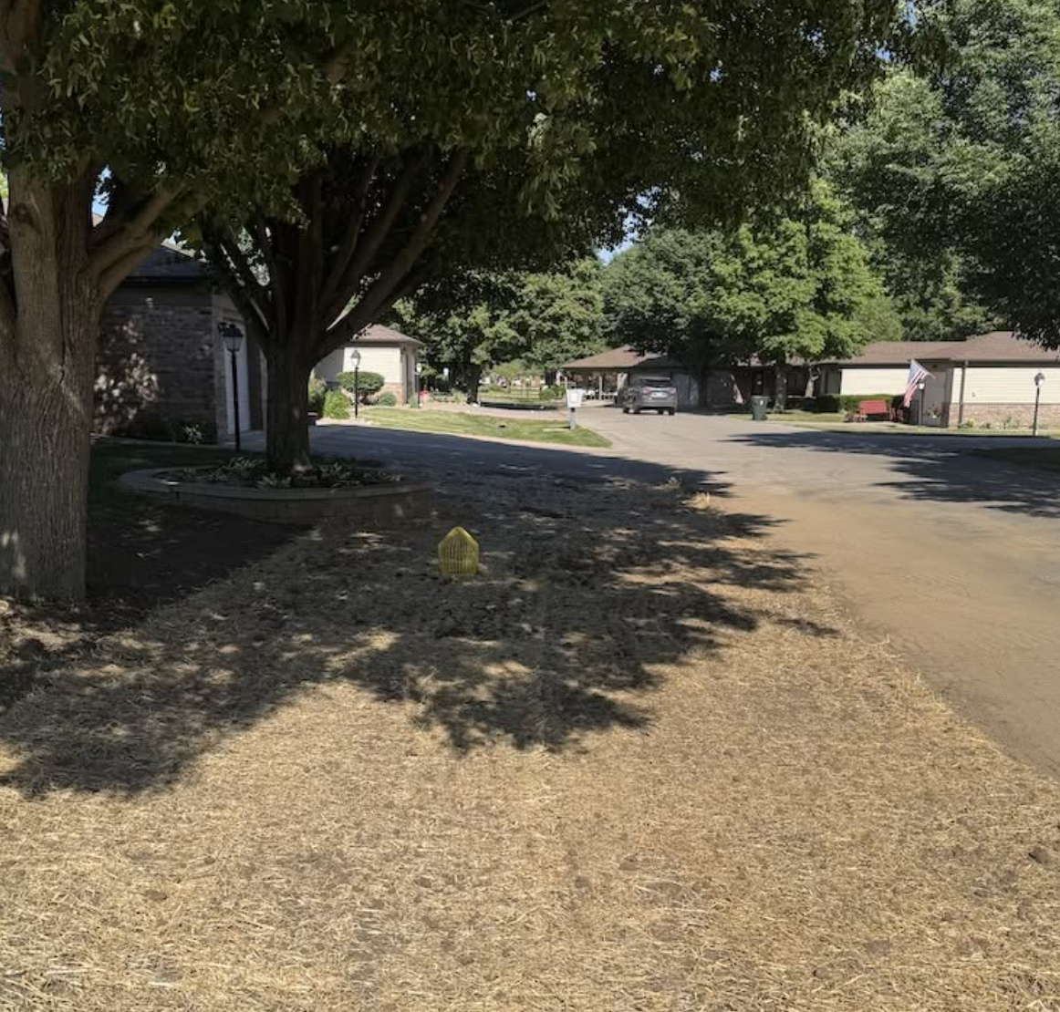 Finished drainage and grading project with restored landscaping and improved water drainage by OPS Outdoor Property Services.