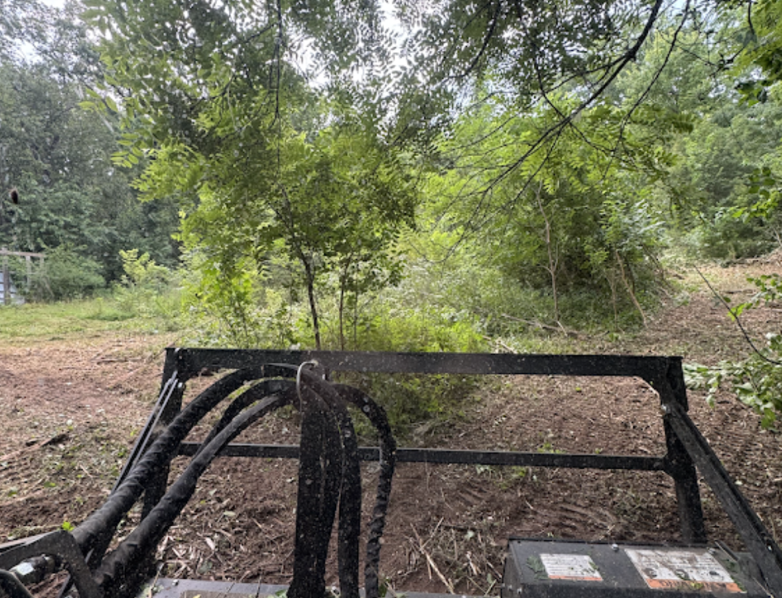 OPS Forestry Mulching Division clearing heavy brush and overgrown vegetation during a forestry mulching project in Illinois.