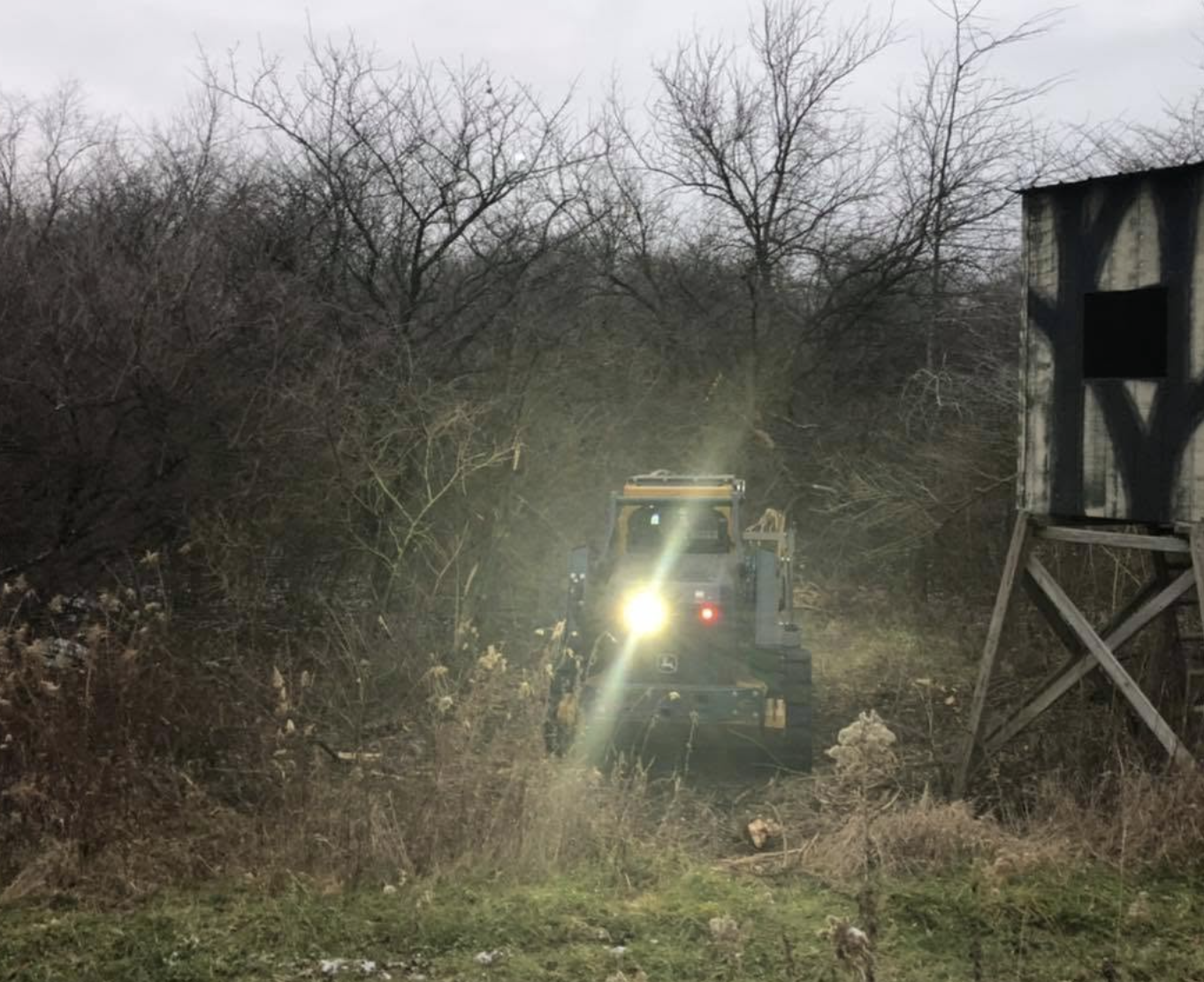 Forestry mulching project clearing overgrown property in Oglesby, IL.