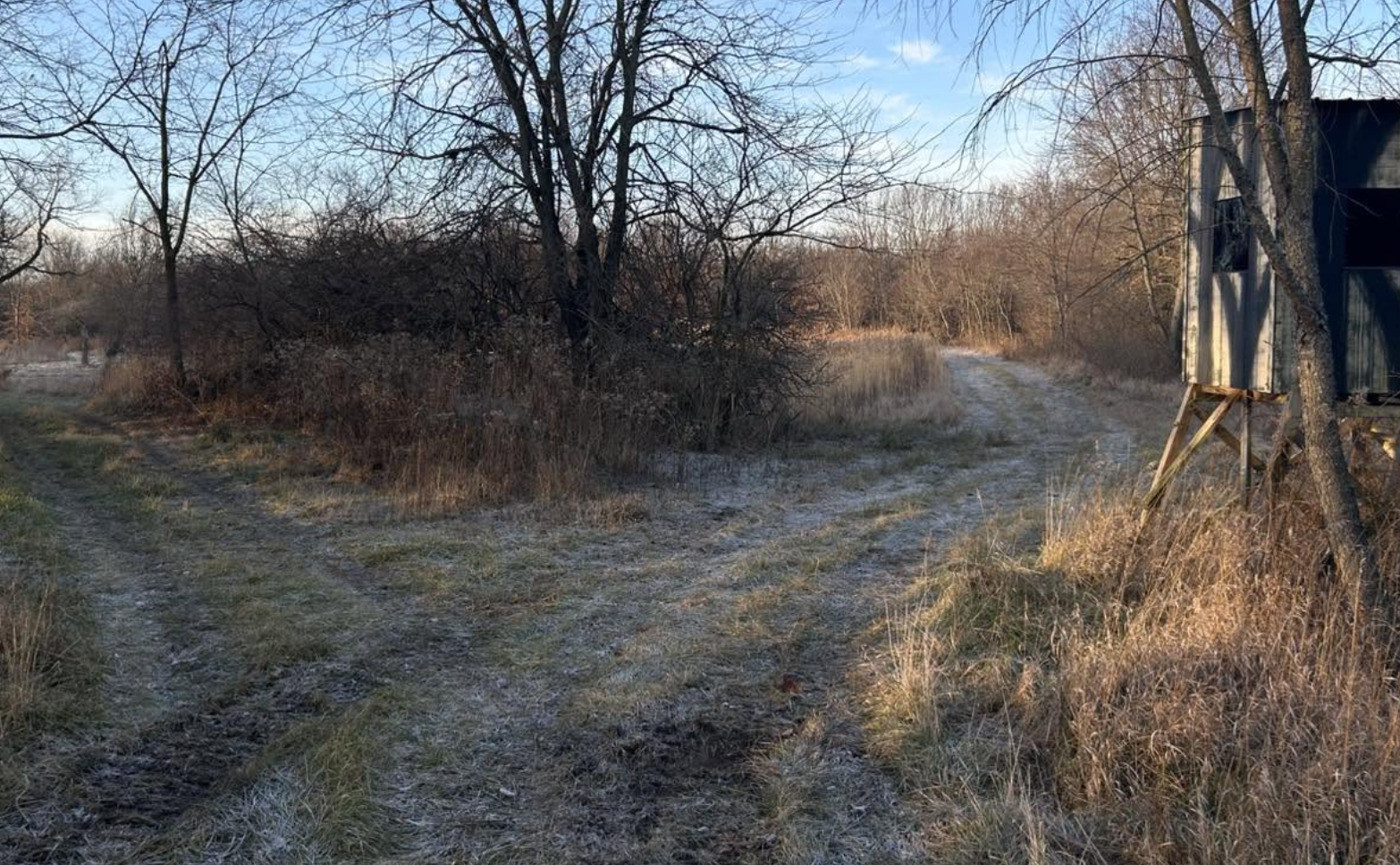 Forestry mulching project restoring overgrown acreage in Mendota, IL.